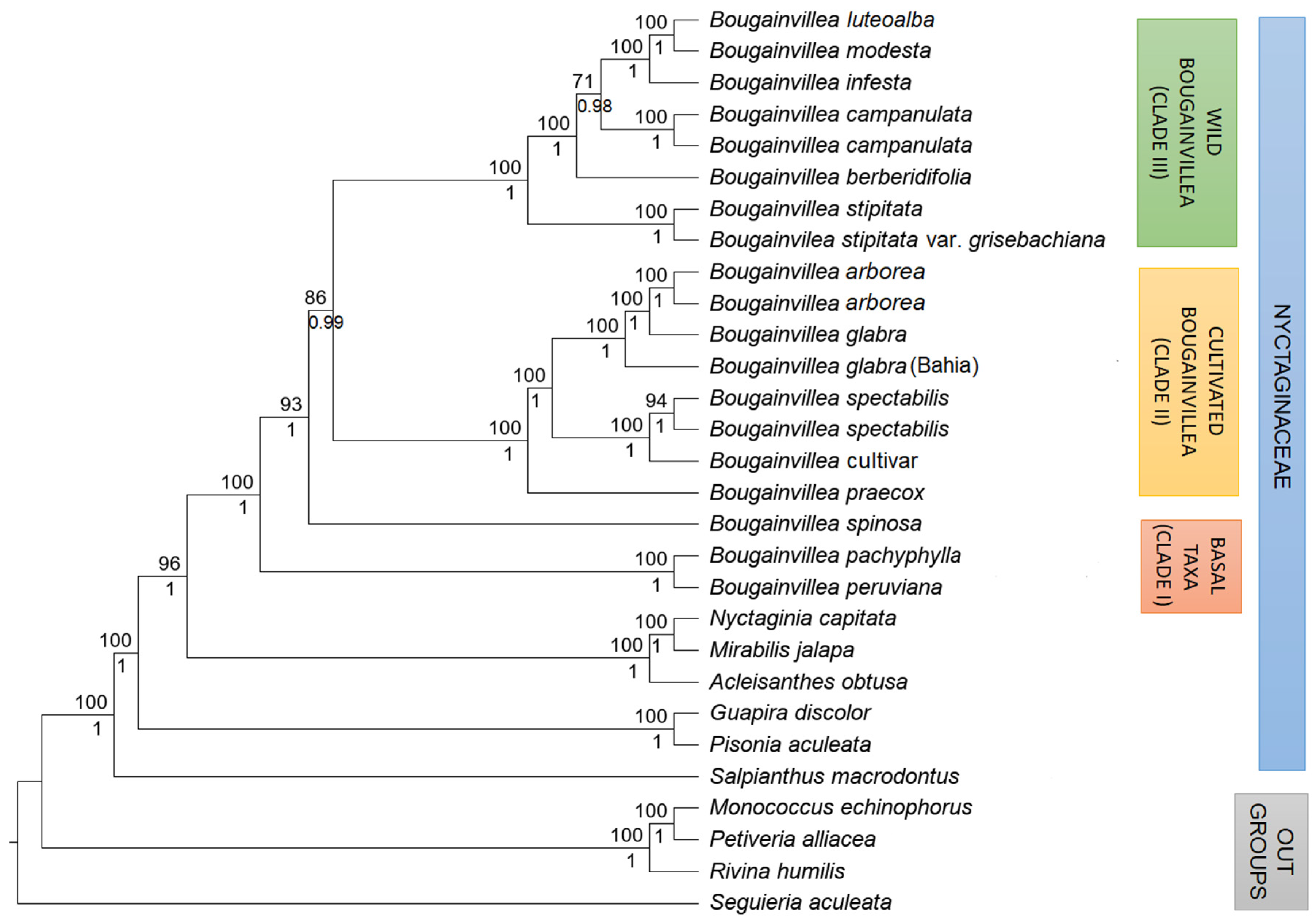 Plants 11 01700 g004 Plants 11 01700 g004