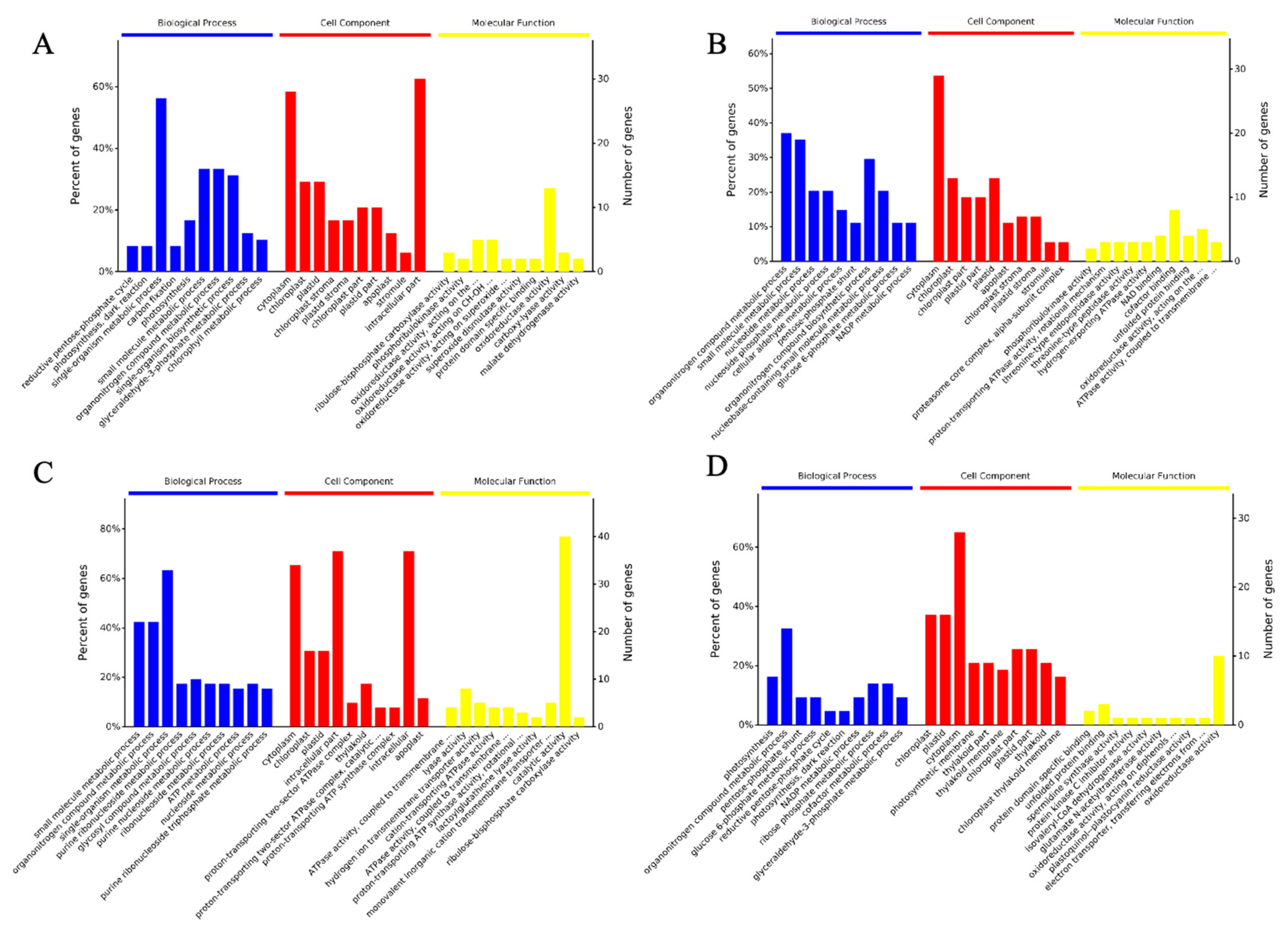 Plants 11 01702 g004 Plants 11 01702 g004