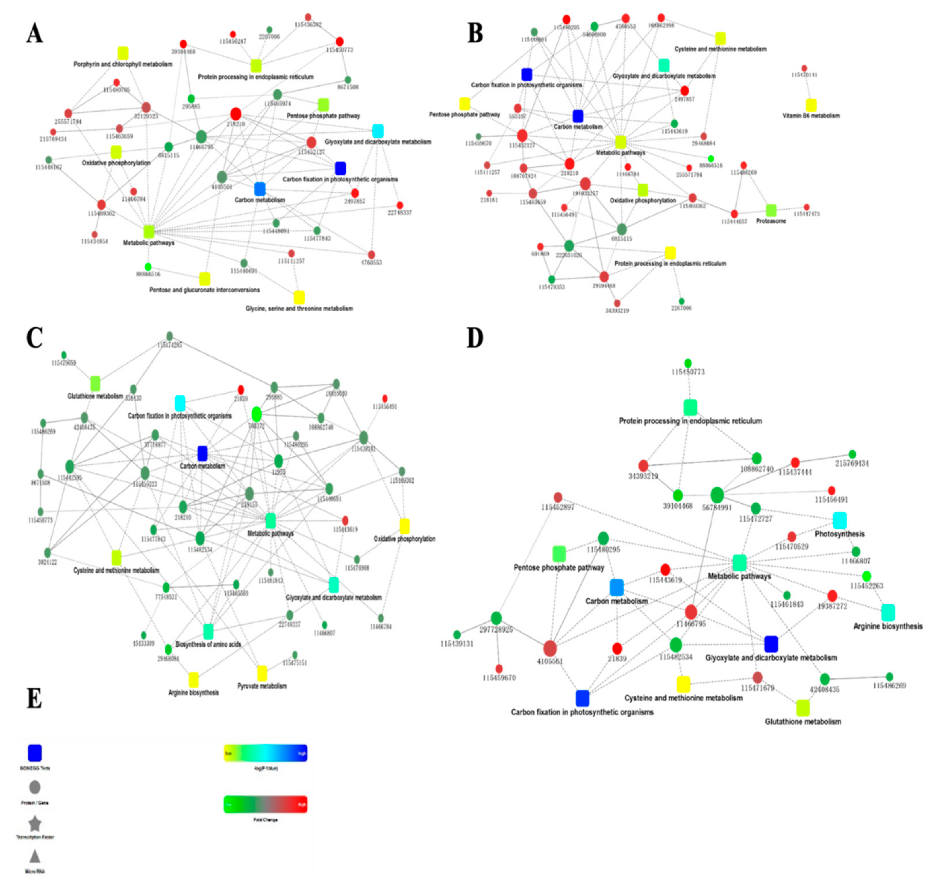 Plants 11 01702 g006 Plants 11 01702 g006