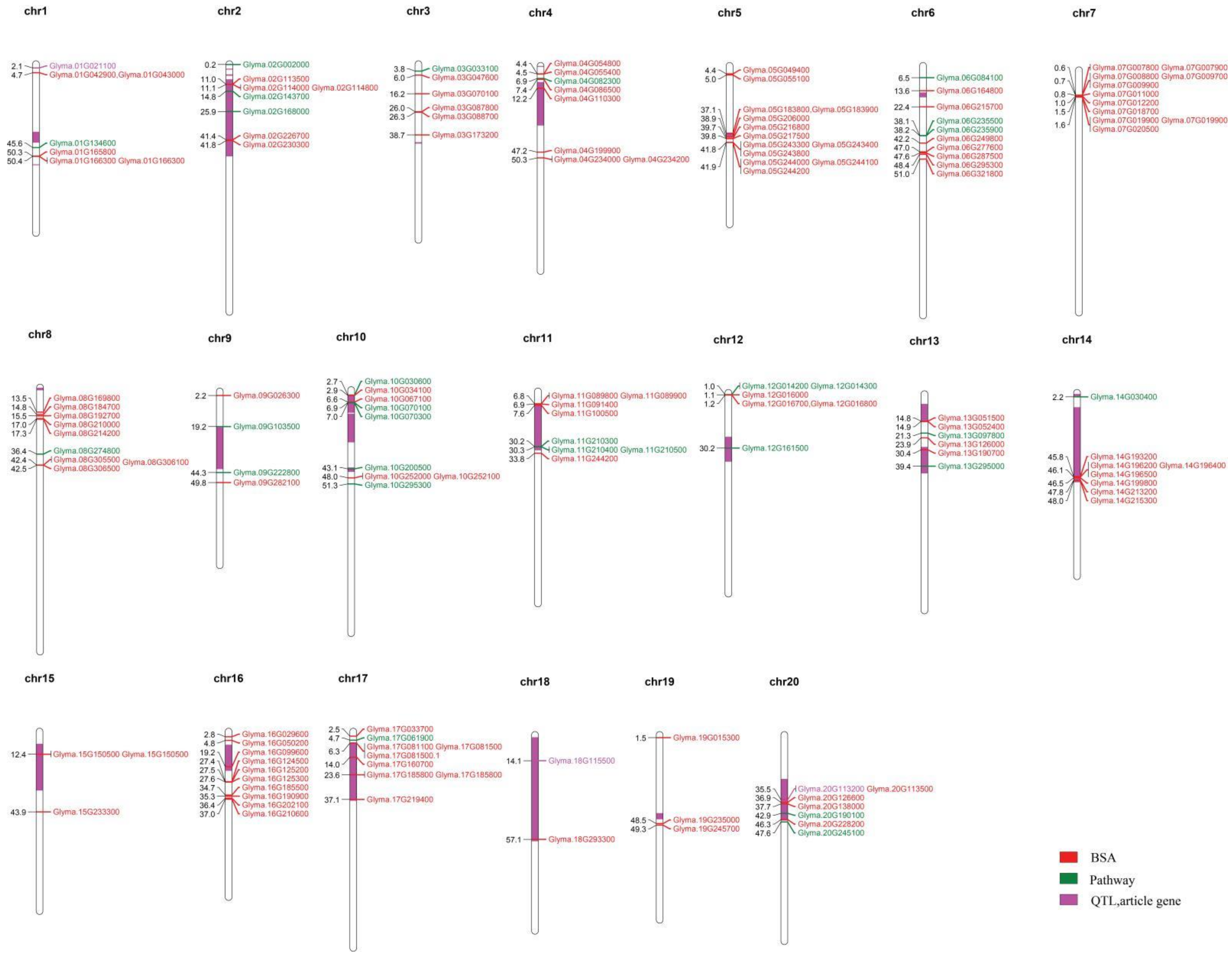 Plants 11 01703 g001