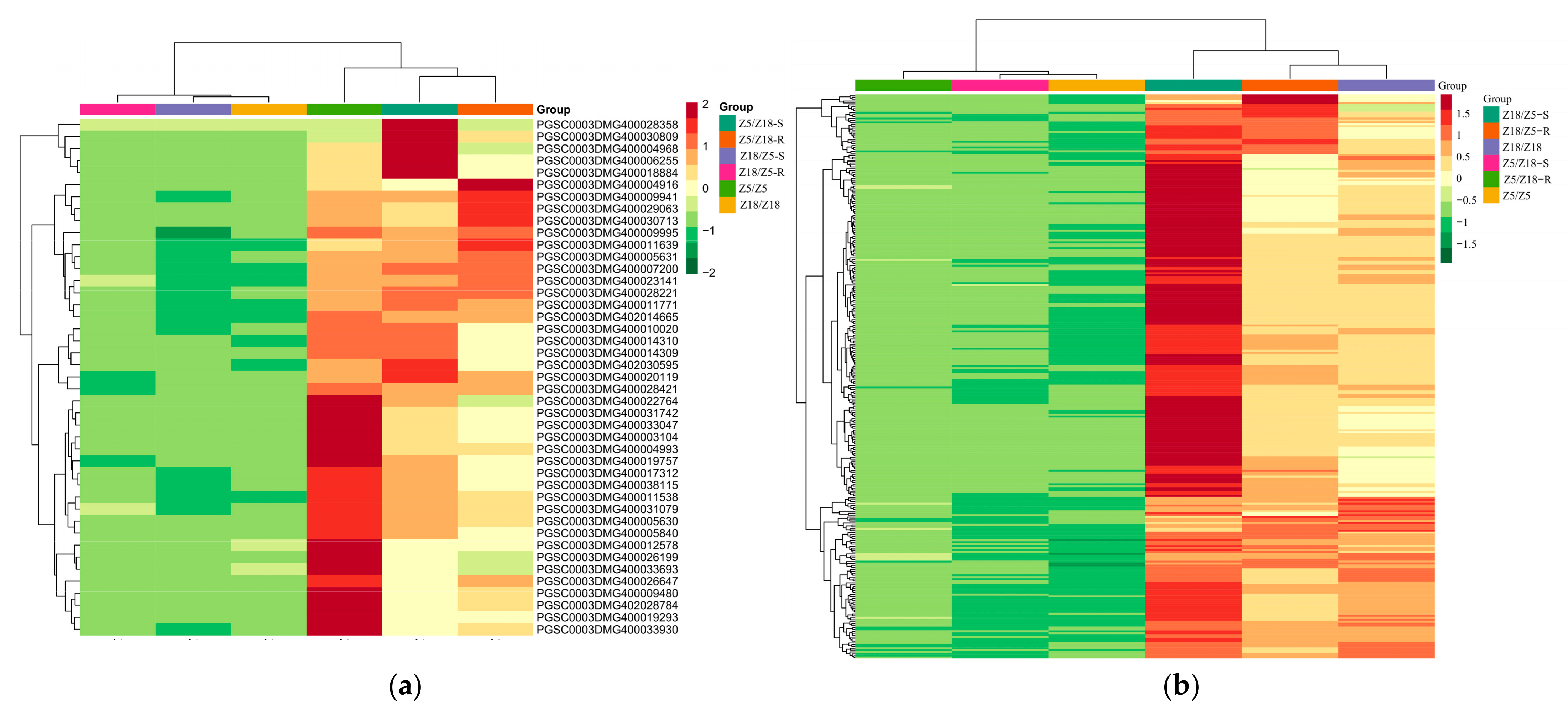Plants 11 01707 g003