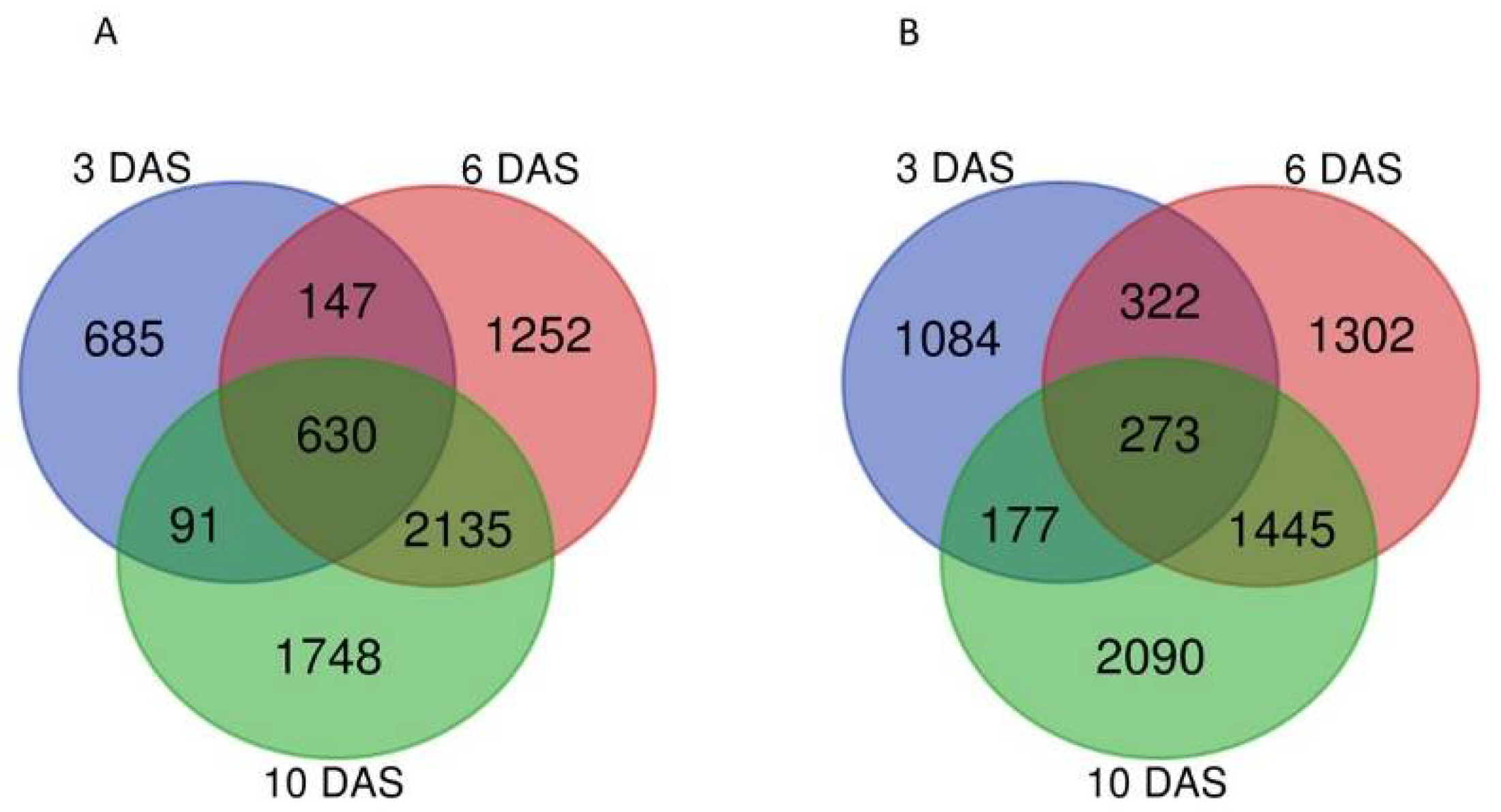 Plants 11 01708 g001