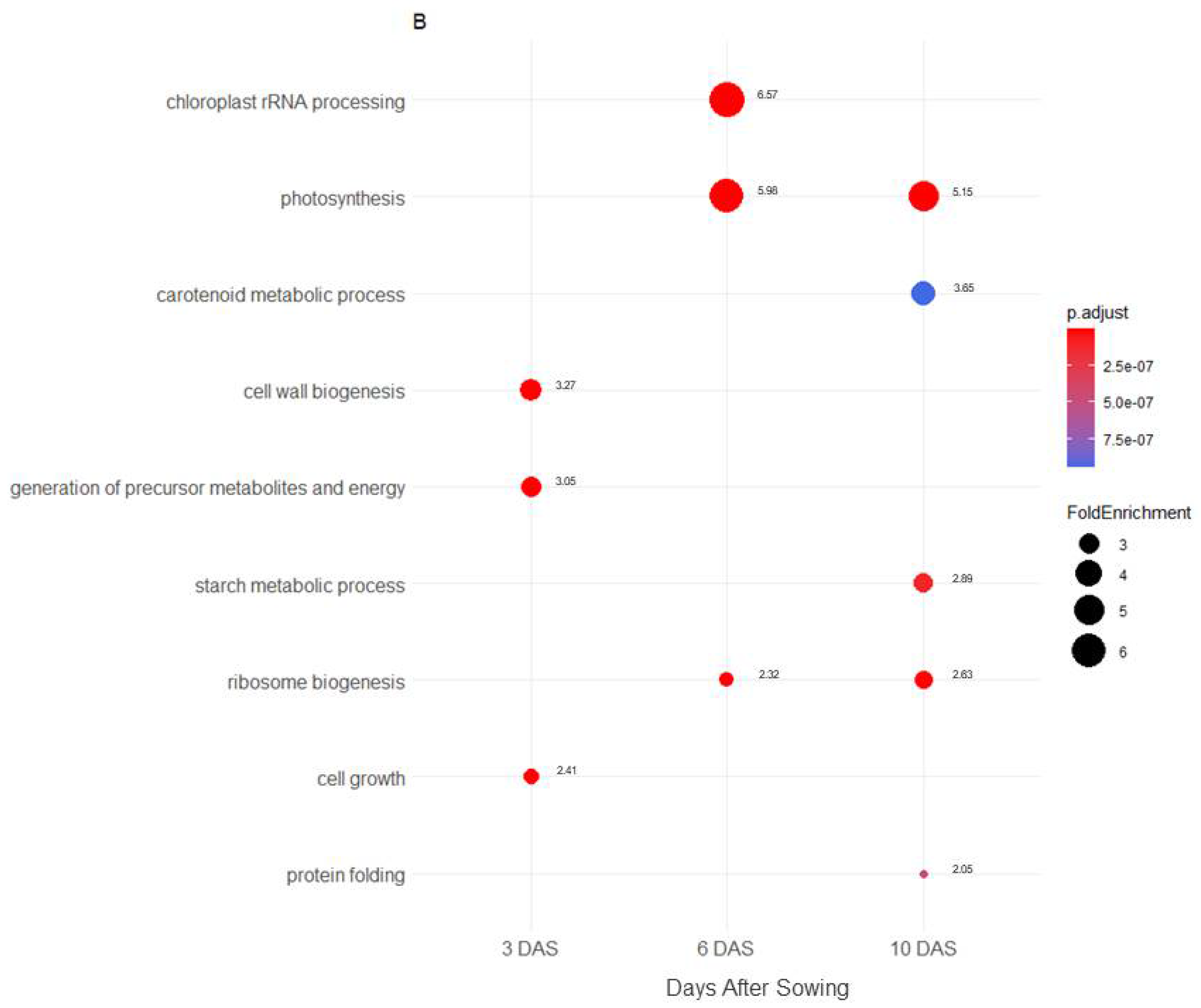 Plants 11 01708 g002b