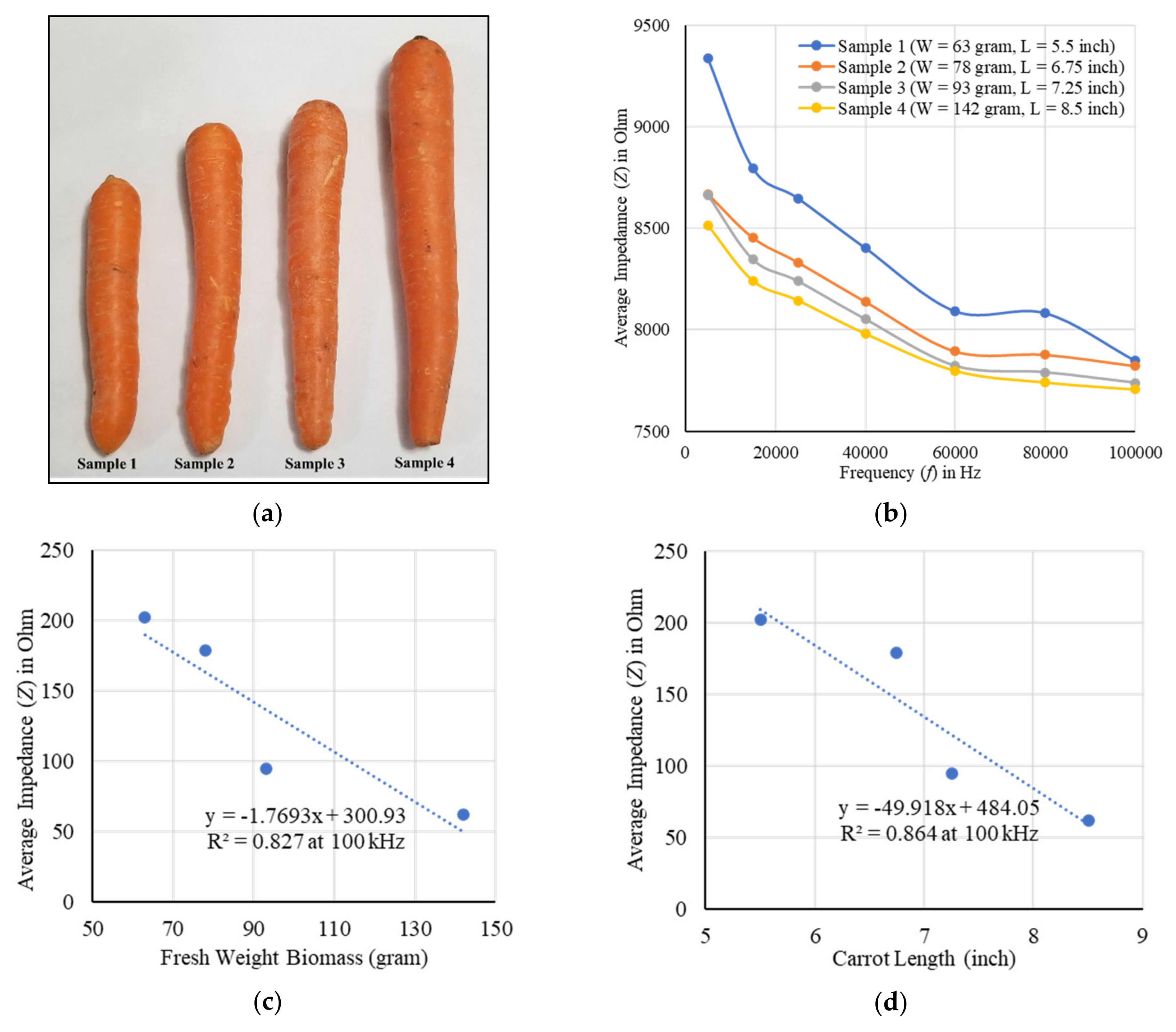 Plants 11 01713 g001
