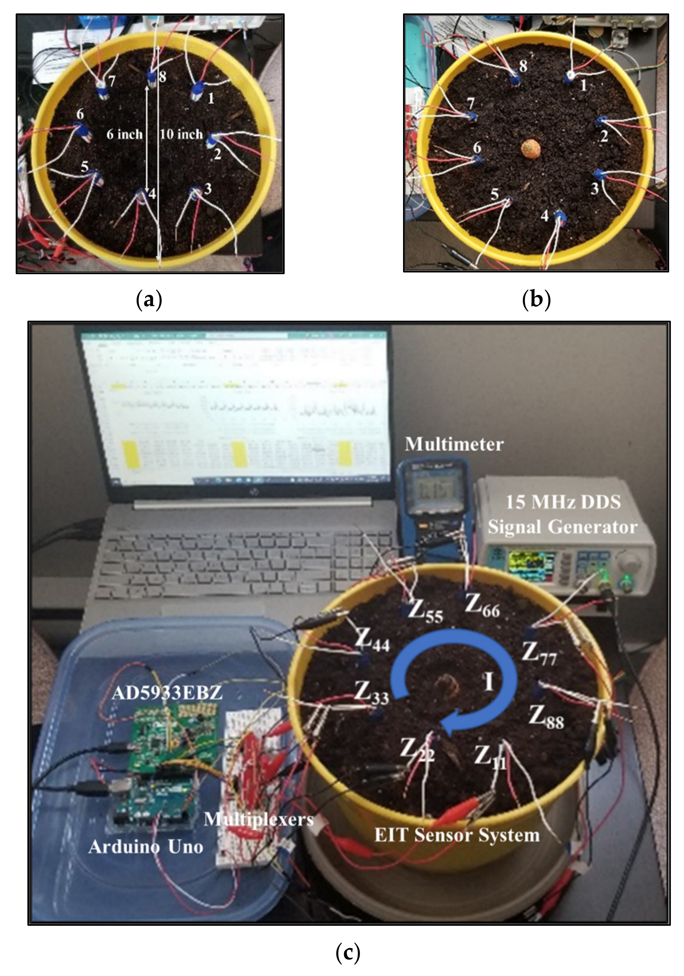 Plants 11 01713 g009