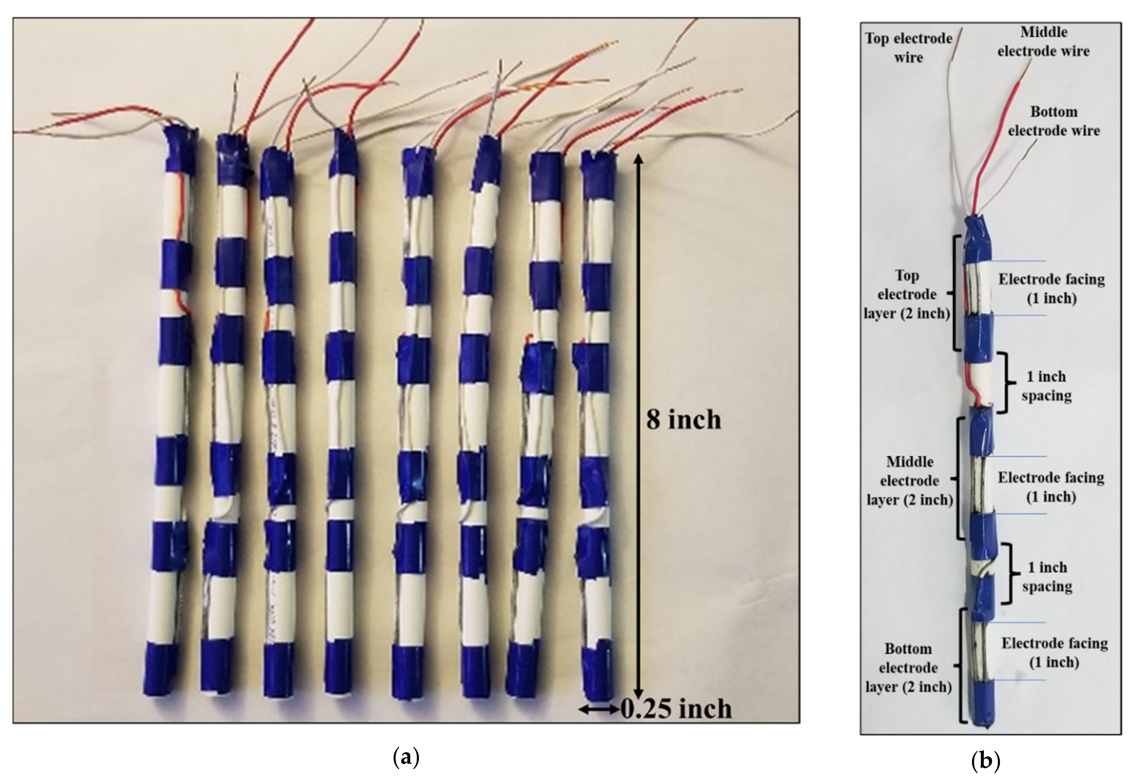 Plants 11 01713 g010