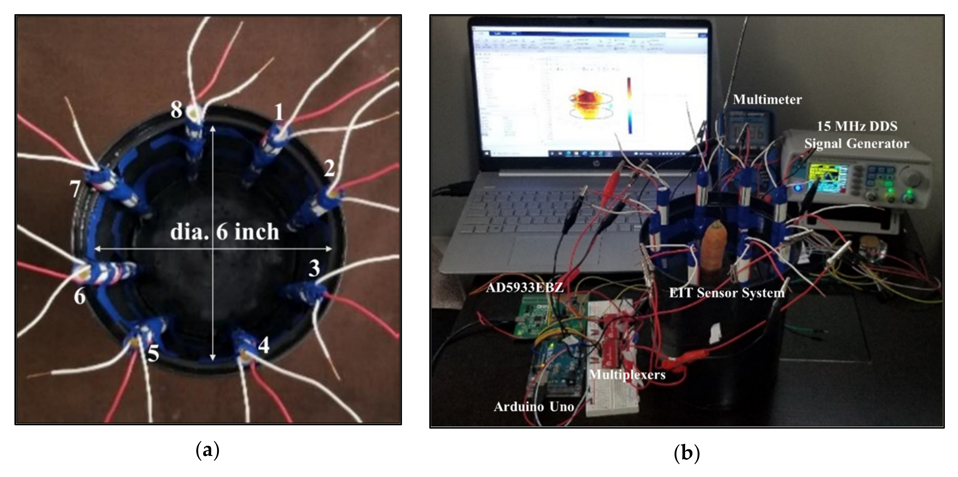 Plants 11 01713 g016
