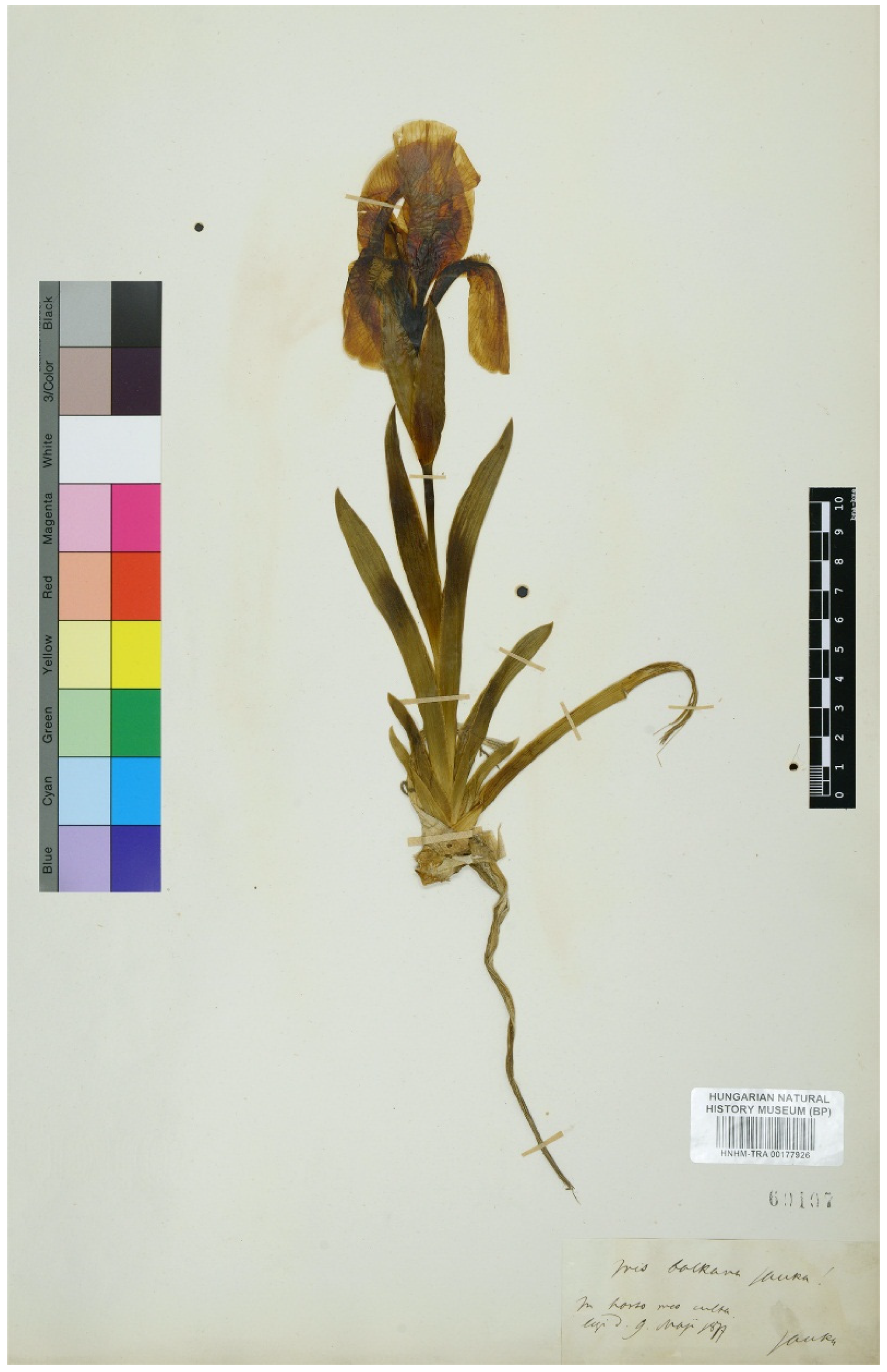 Plants 11 01714 g002