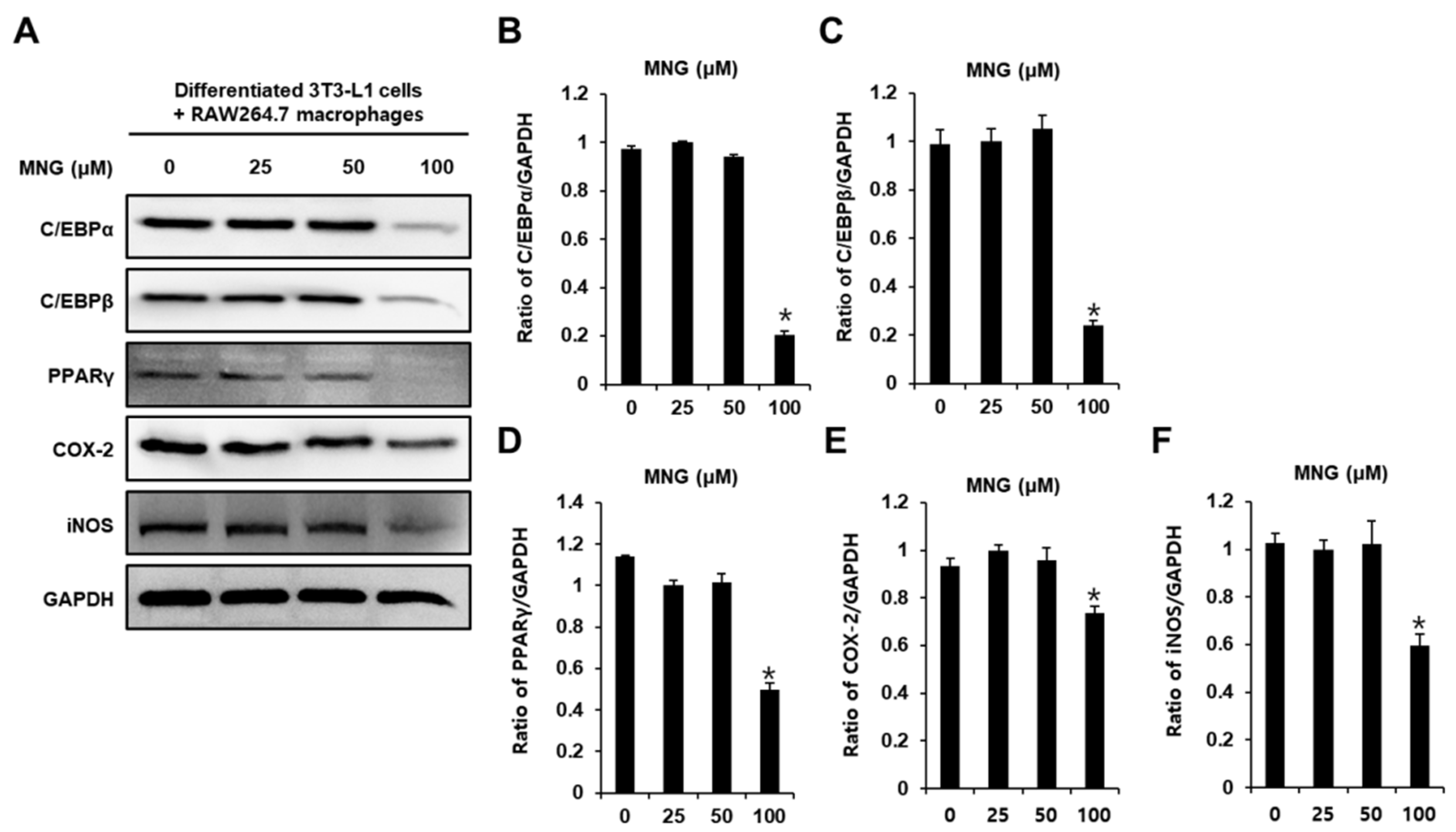 Plants 11 01715 g004
