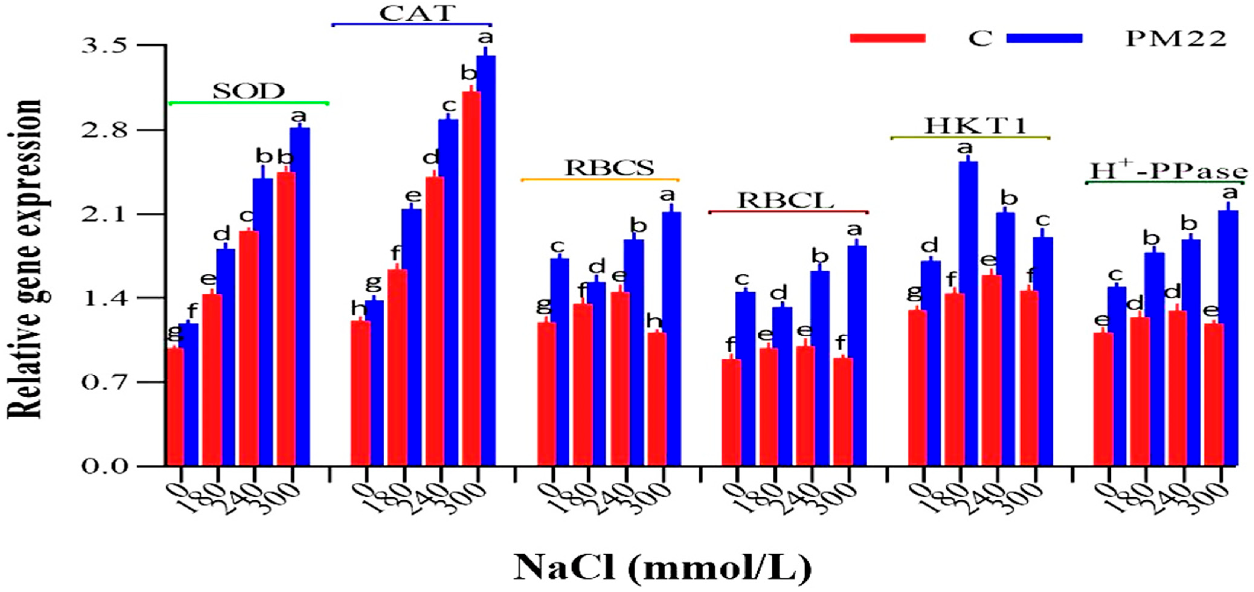Plants 11 01721 g007 550