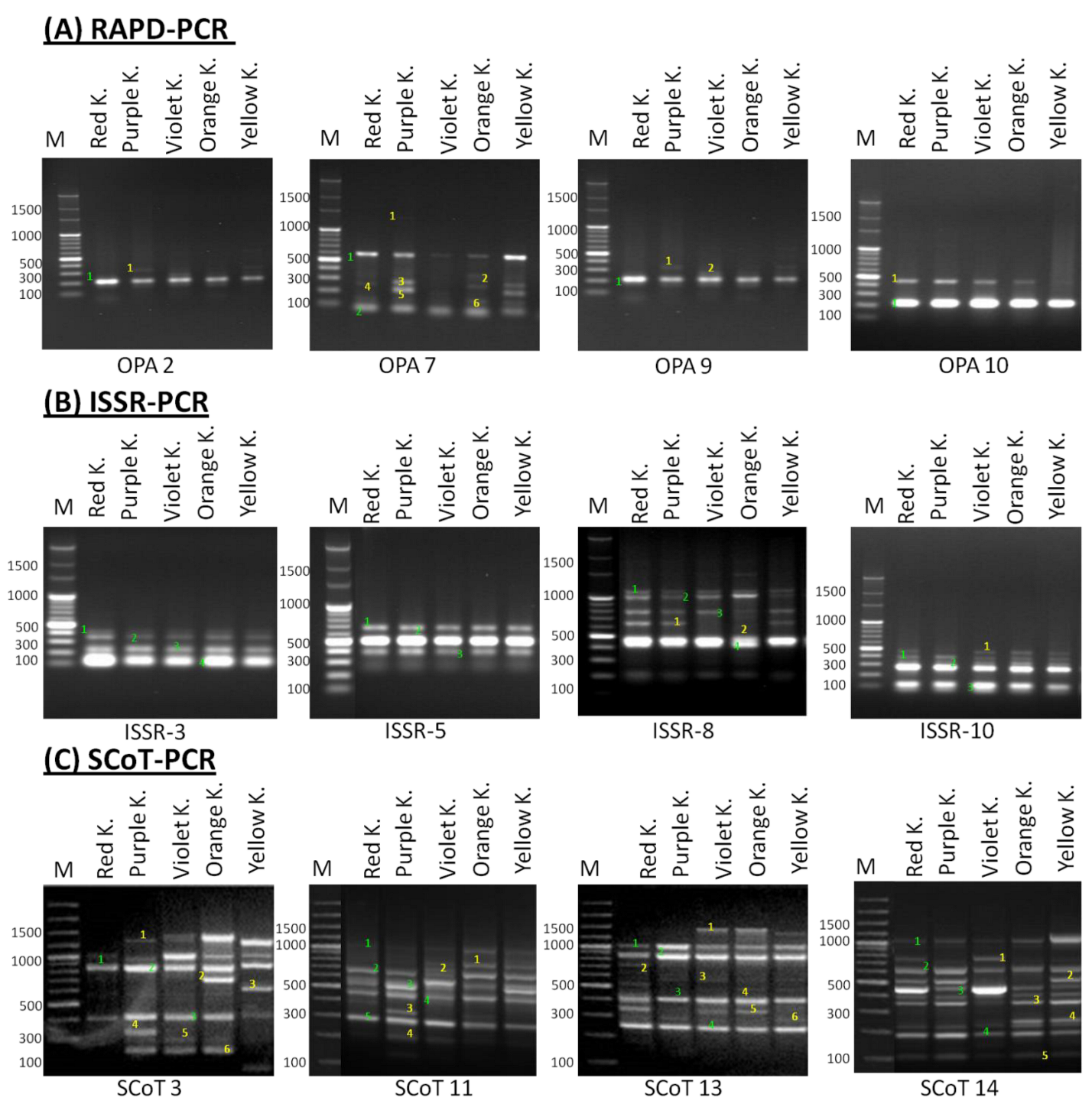 Plants 11 01722 g003 Plants 11 01722 g003