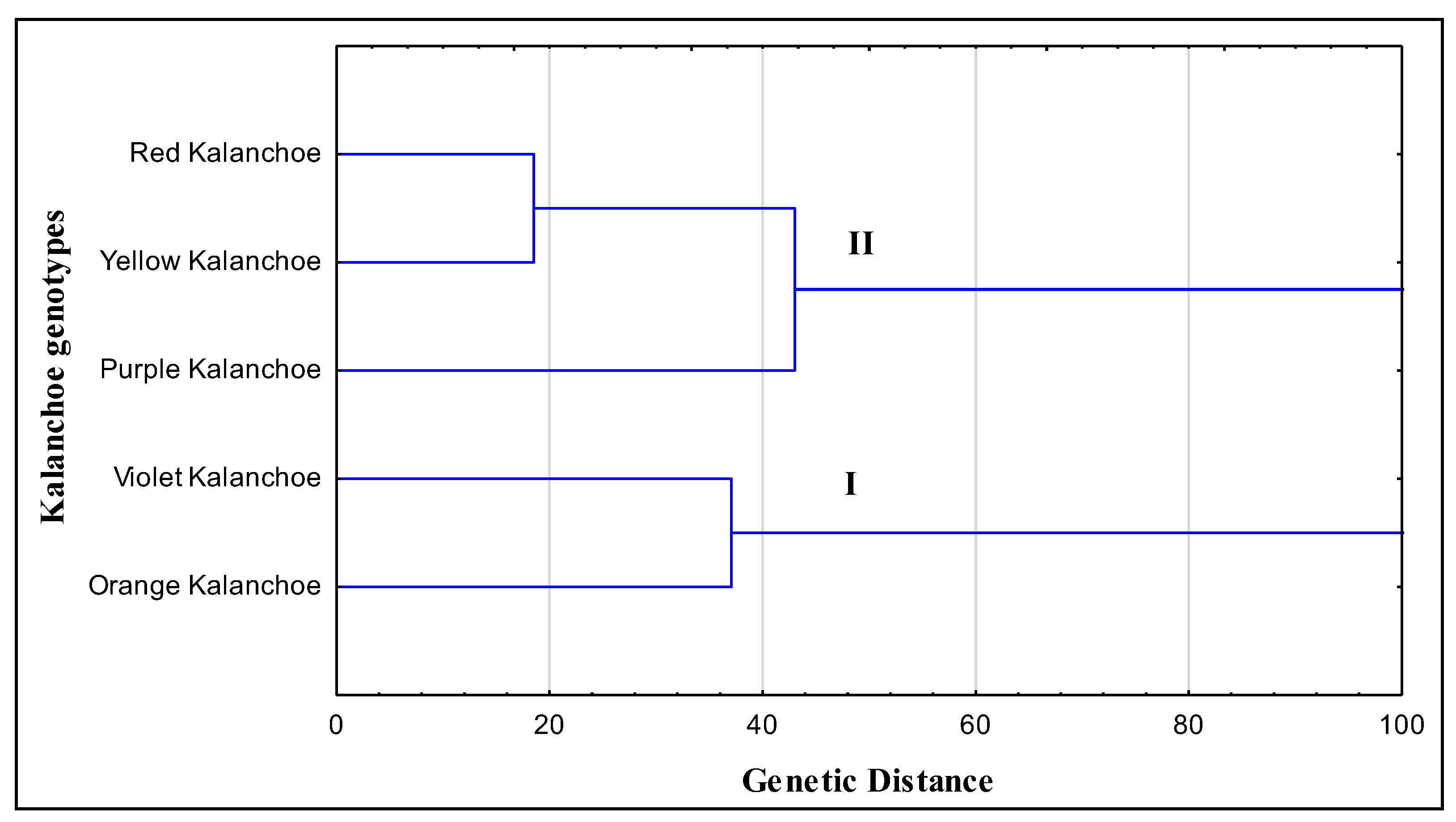 Plants 11 01722 g004 Plants 11 01722 g004