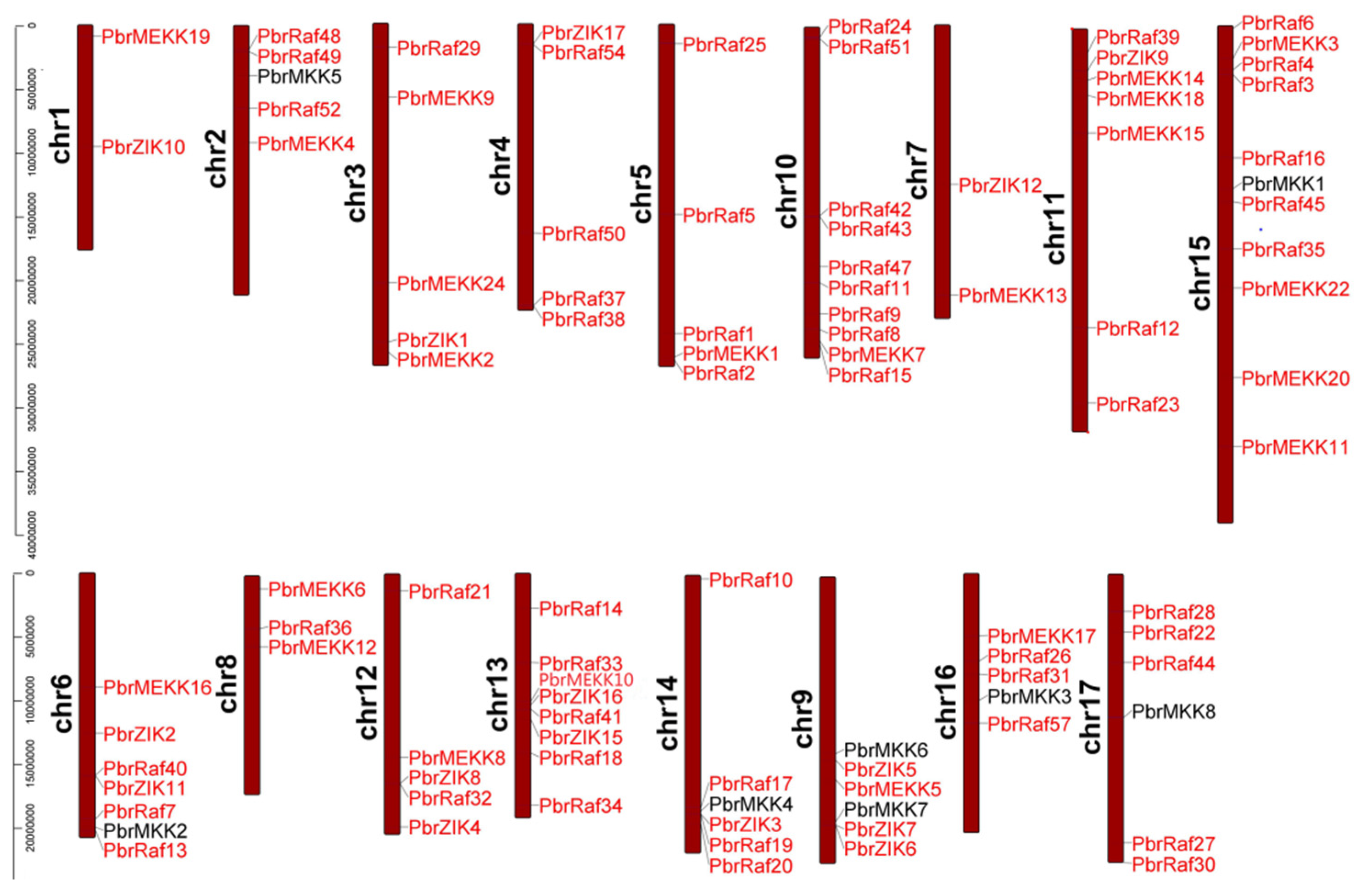 Plants 11 01731 g001