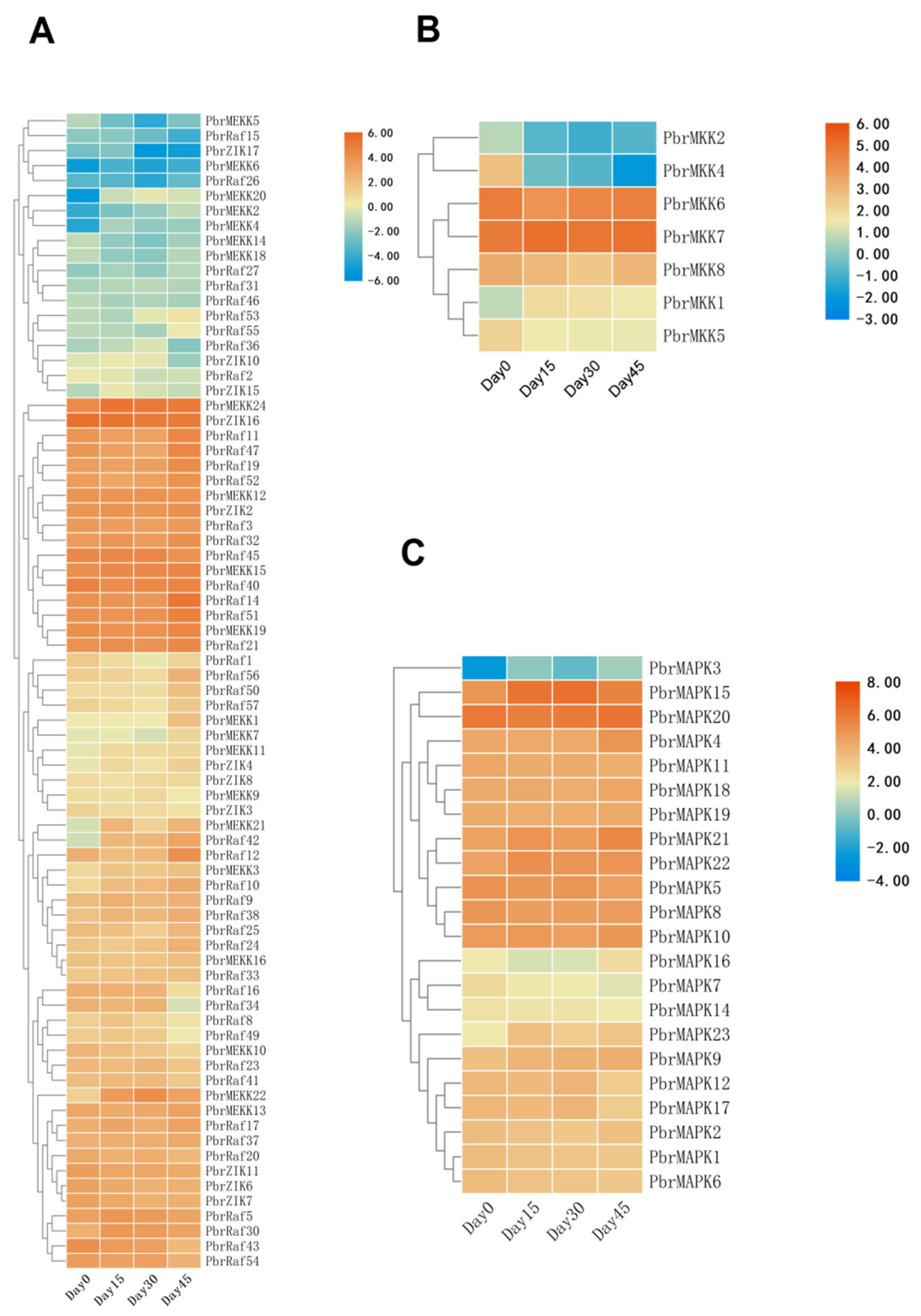 Plants 11 01731 g002