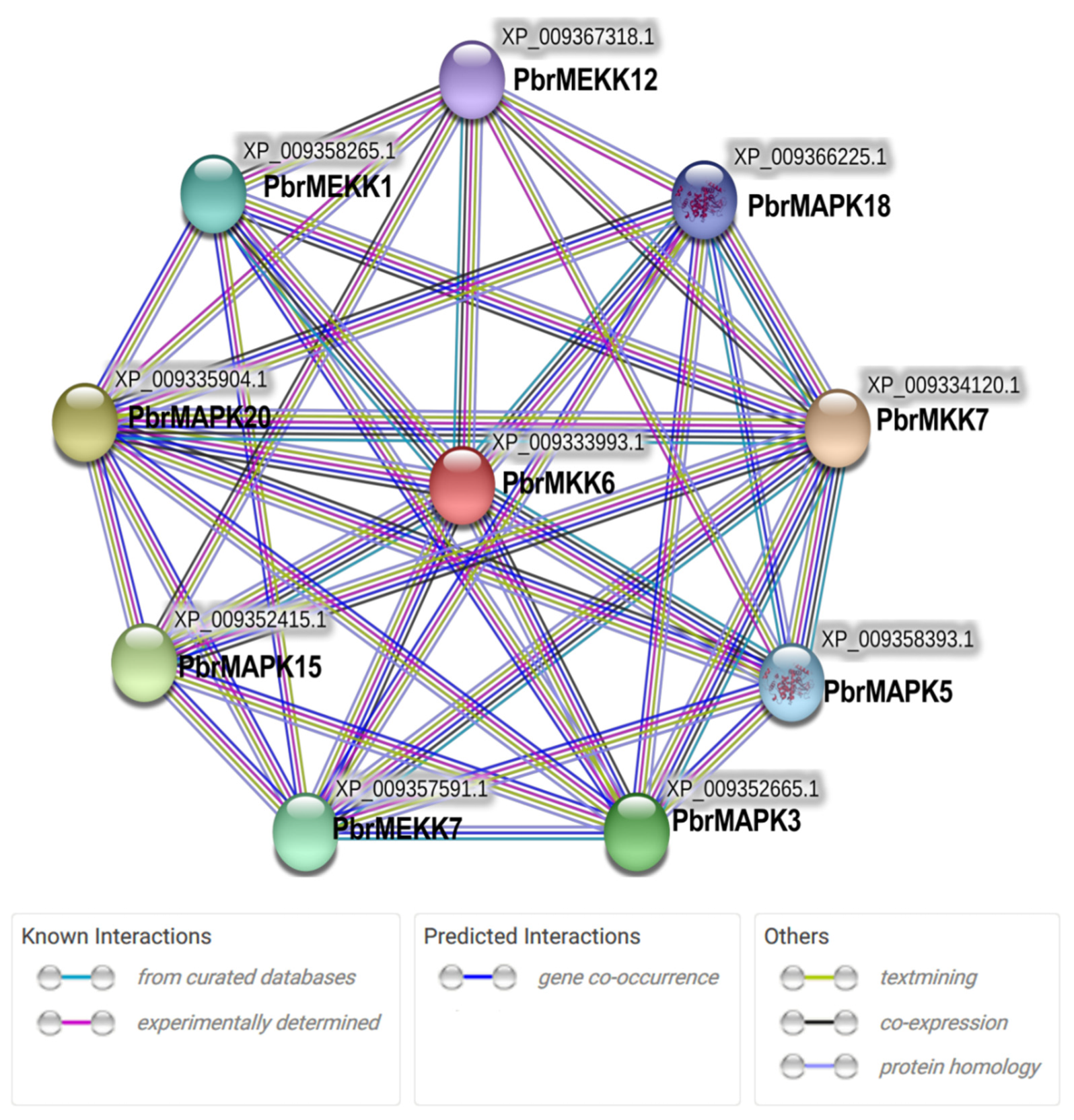 Plants 11 01731 g003