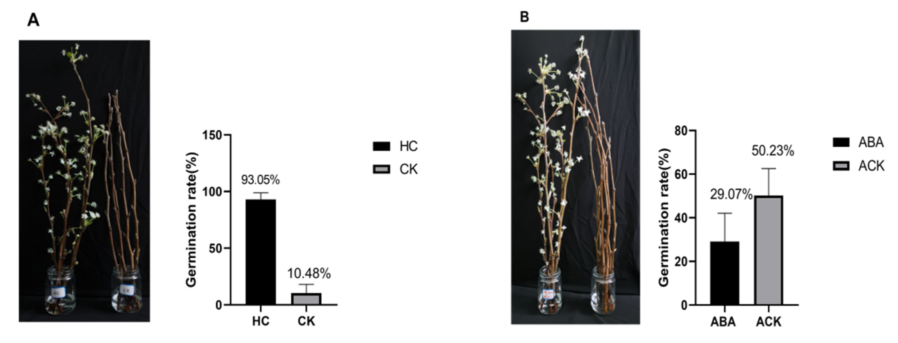 Plants 11 01731 g004