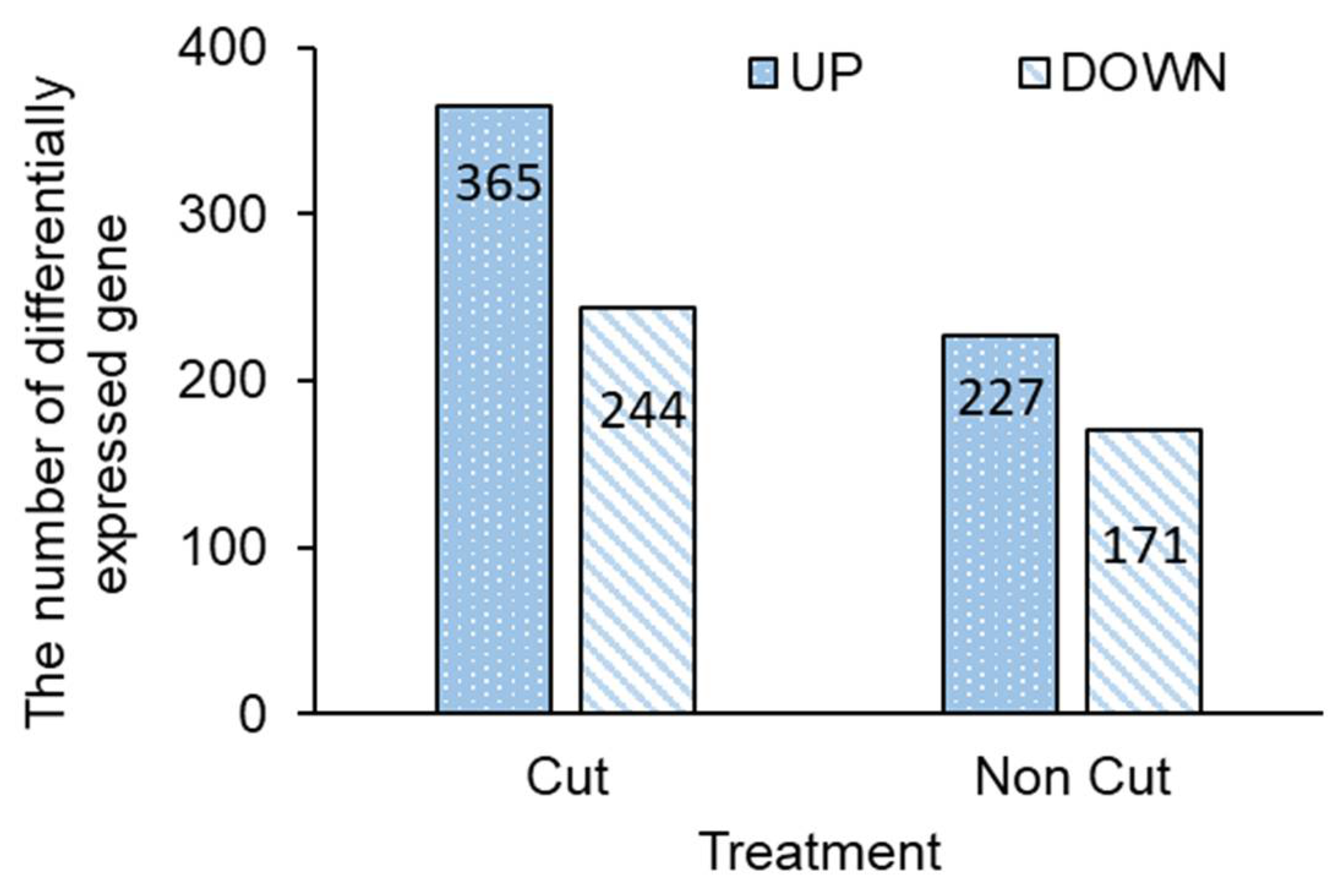 Plants 11 01732 g004 Plants 11 01732 g004