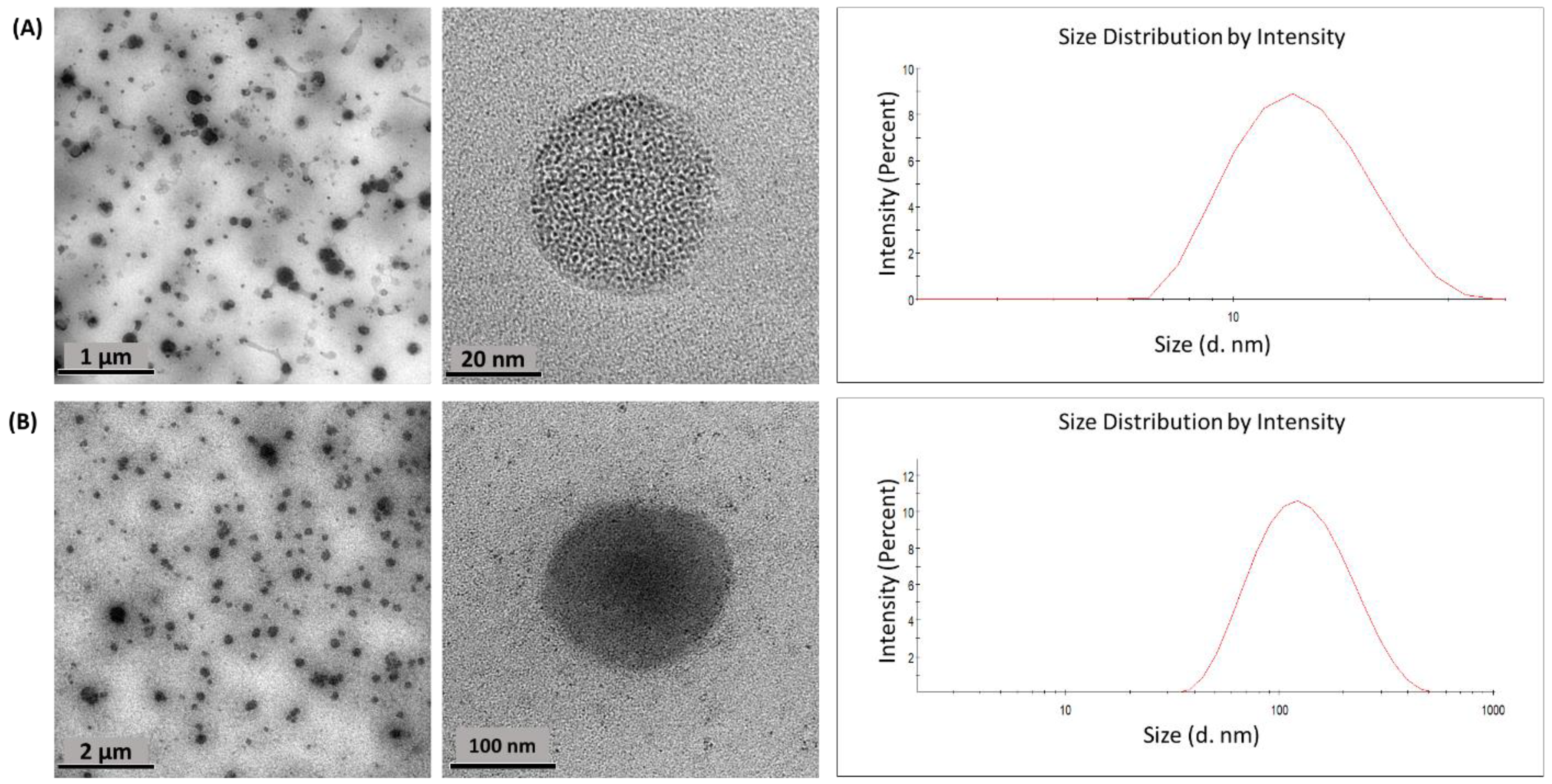 Plants 11 01737 g013