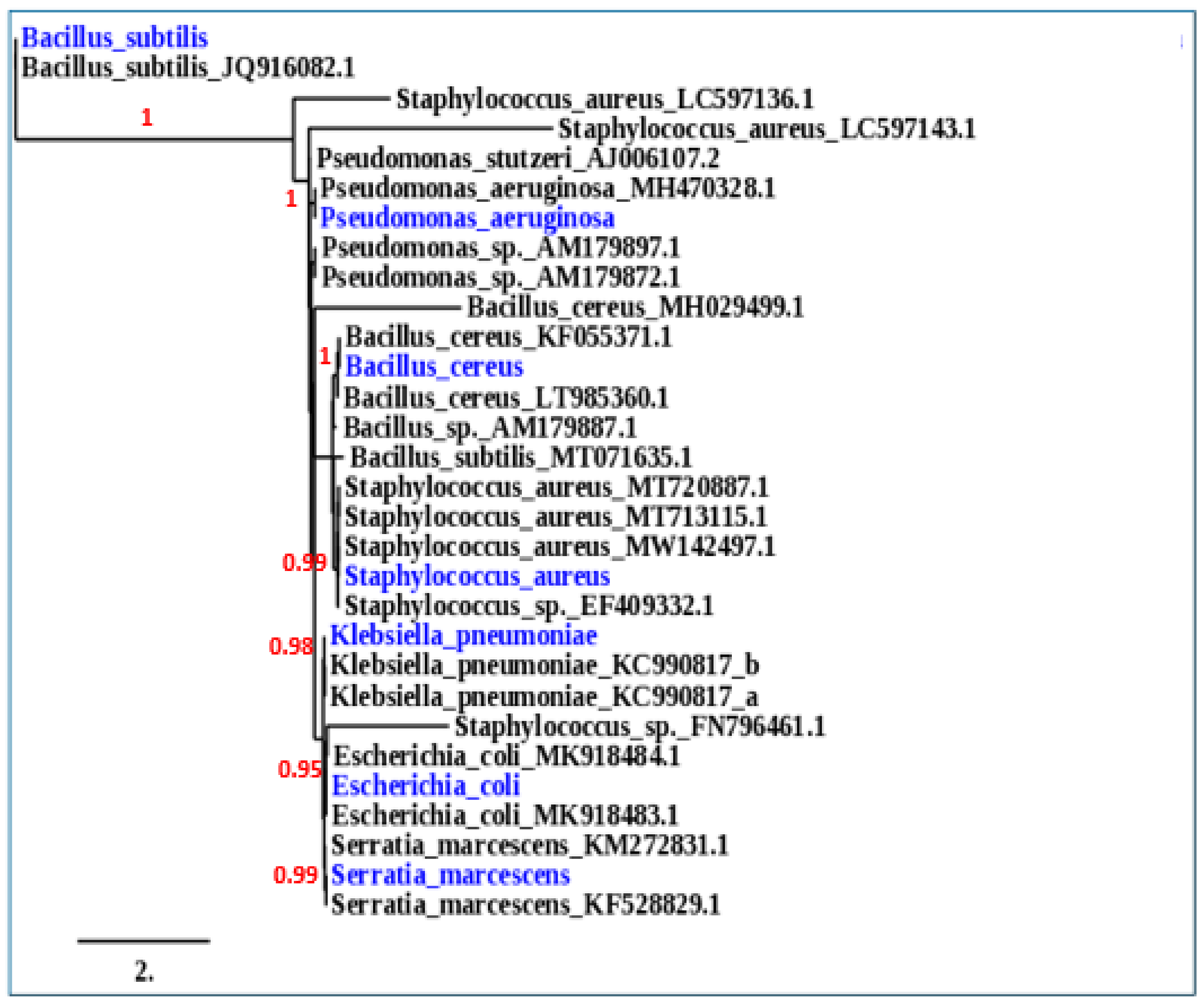 Plants 11 01740 g008