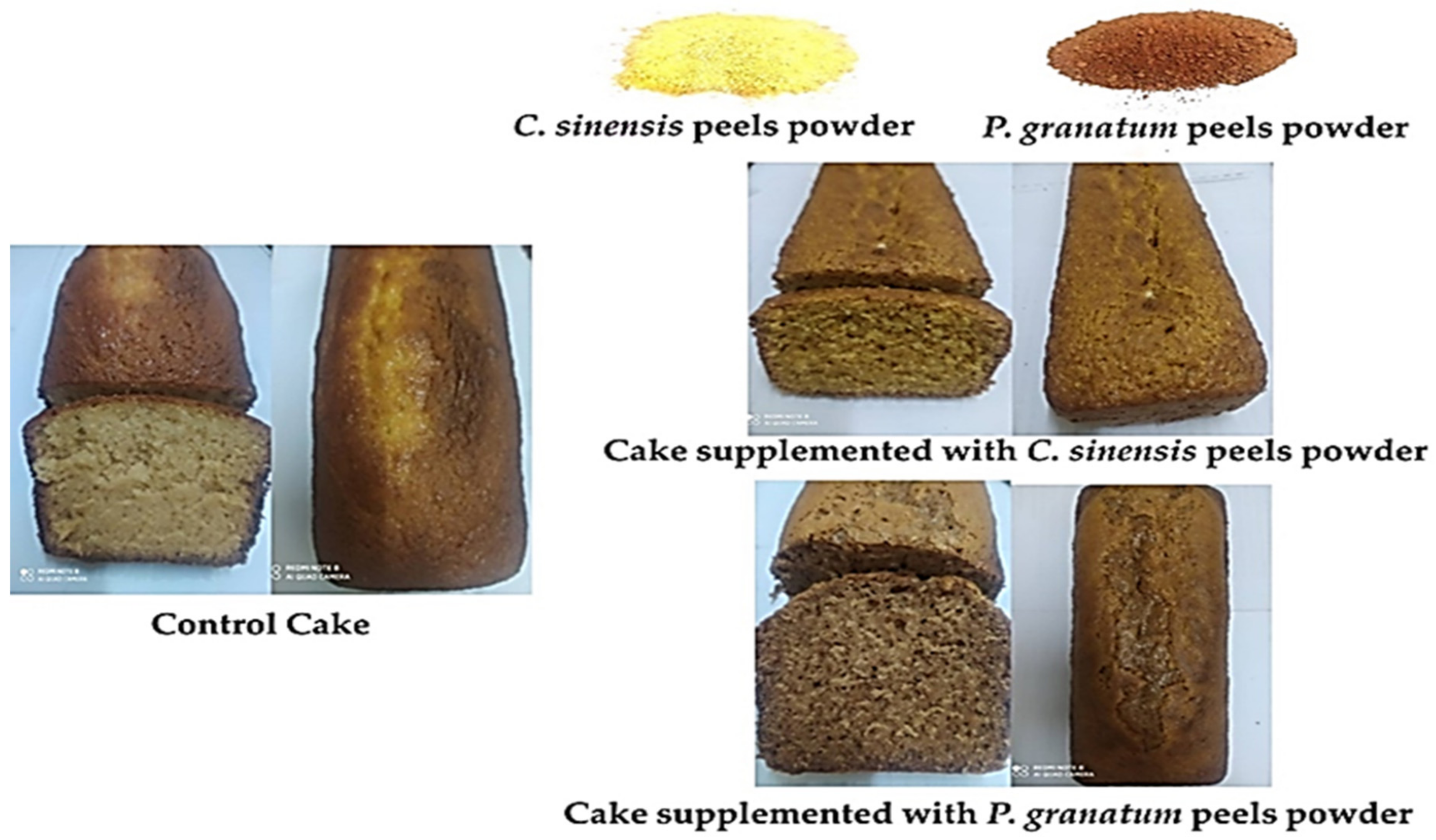 Plants 11 01740 g012