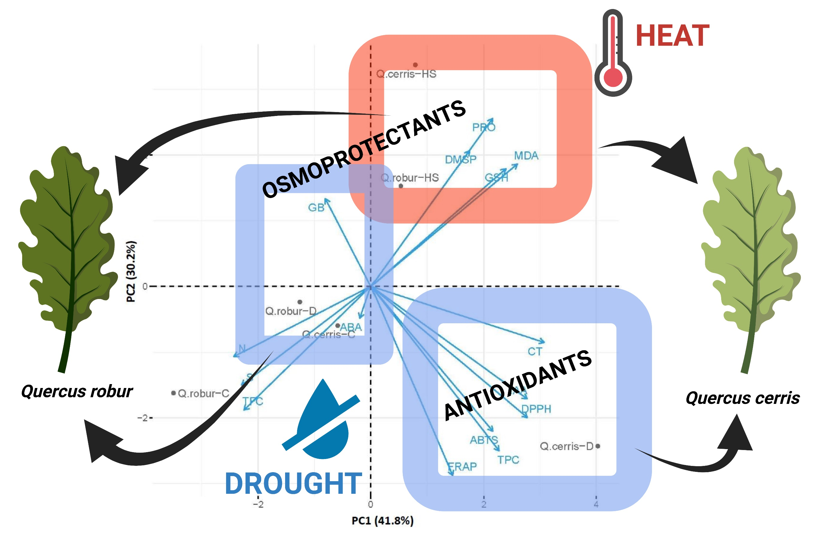 Plants Free FullText SpeciesLevel Differences in Osmoprotectants