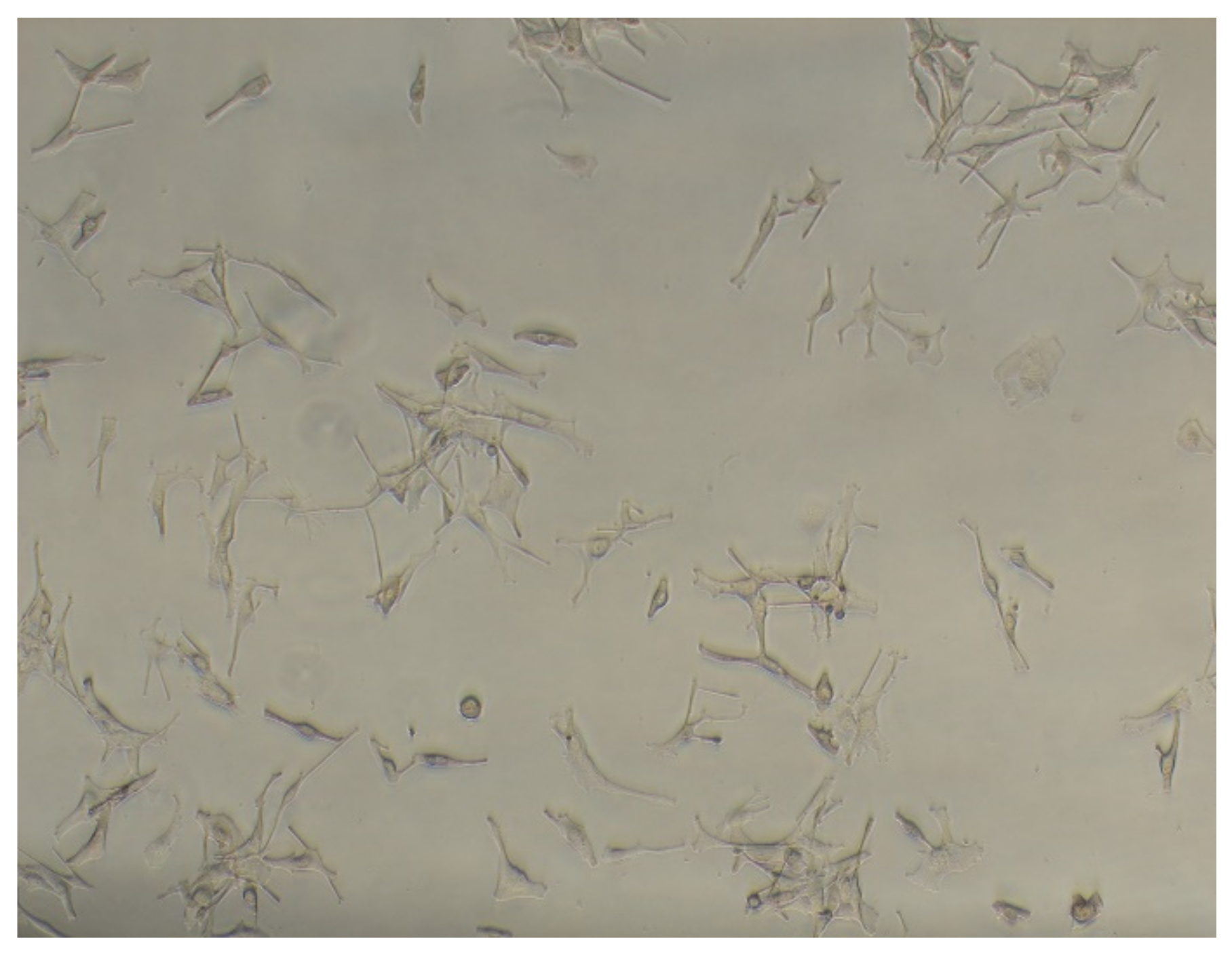 Plants 11 01749 g003 550