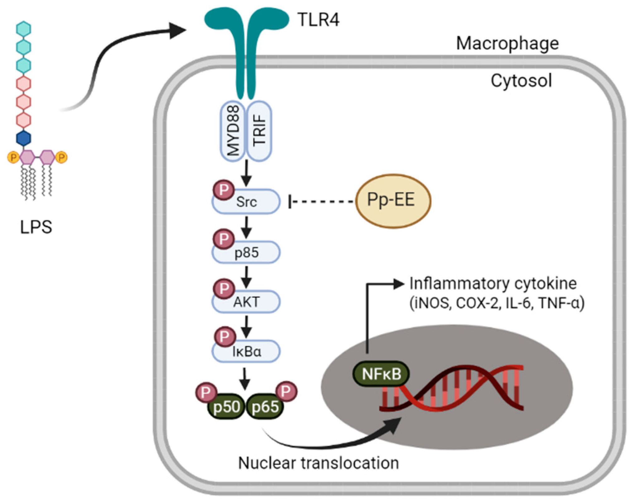 Plants 11 01750 g005