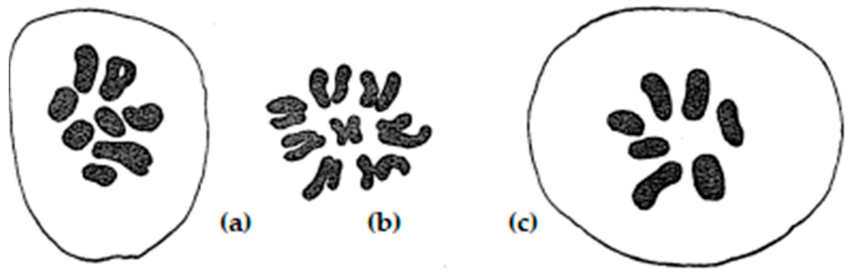 Plants 11 01753 g002