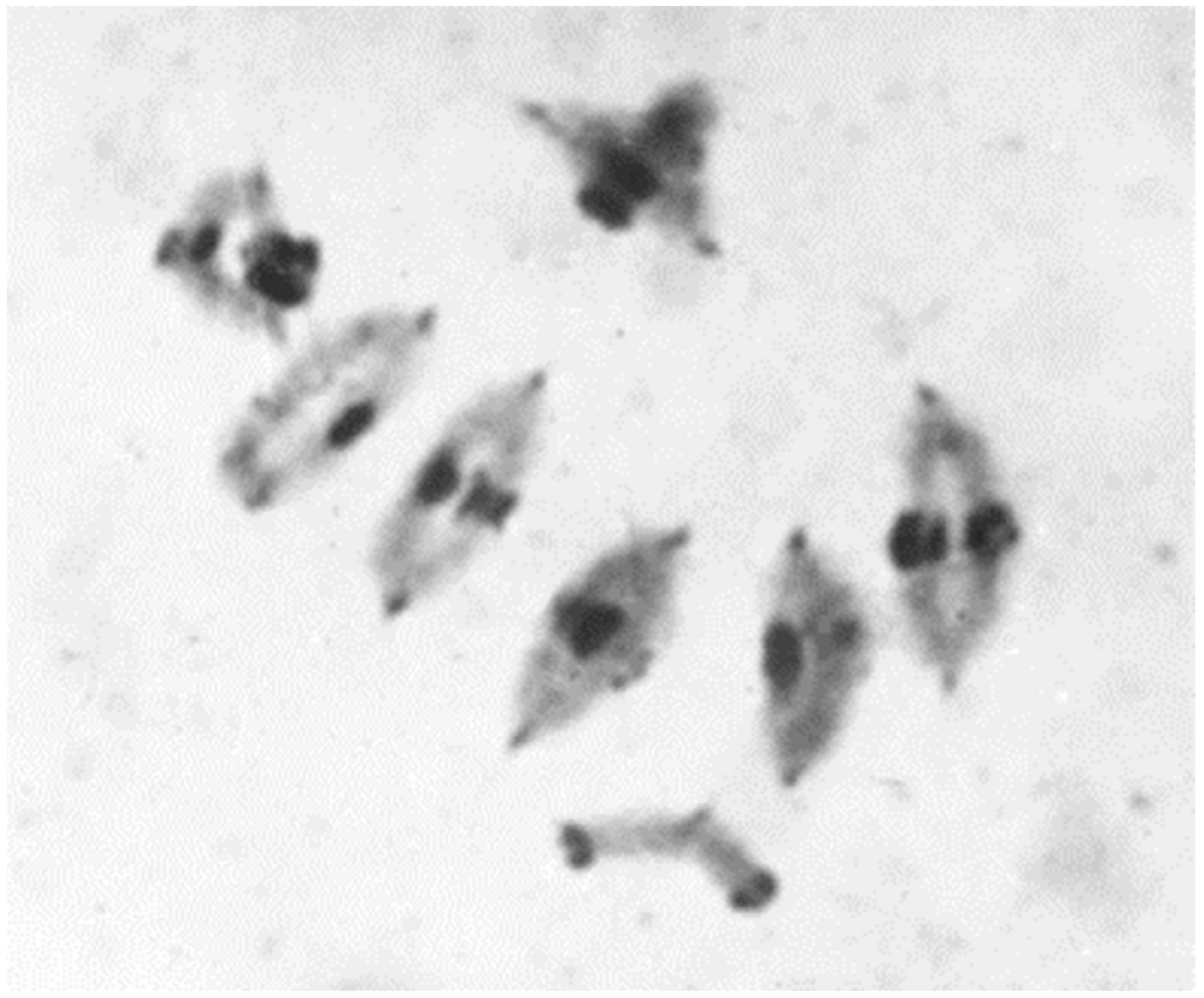 Plants 11 01753 g012