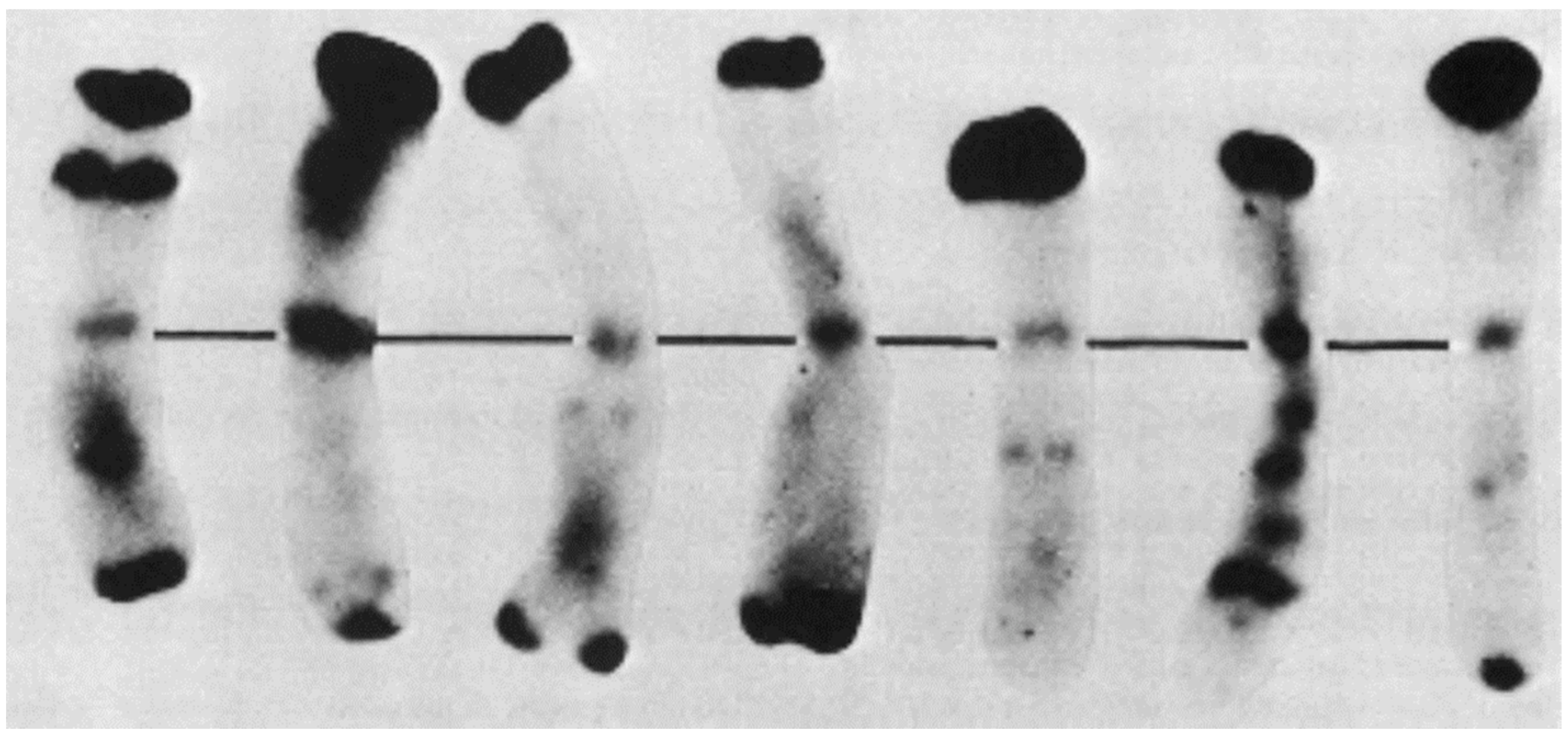 Plants 11 01753 g013