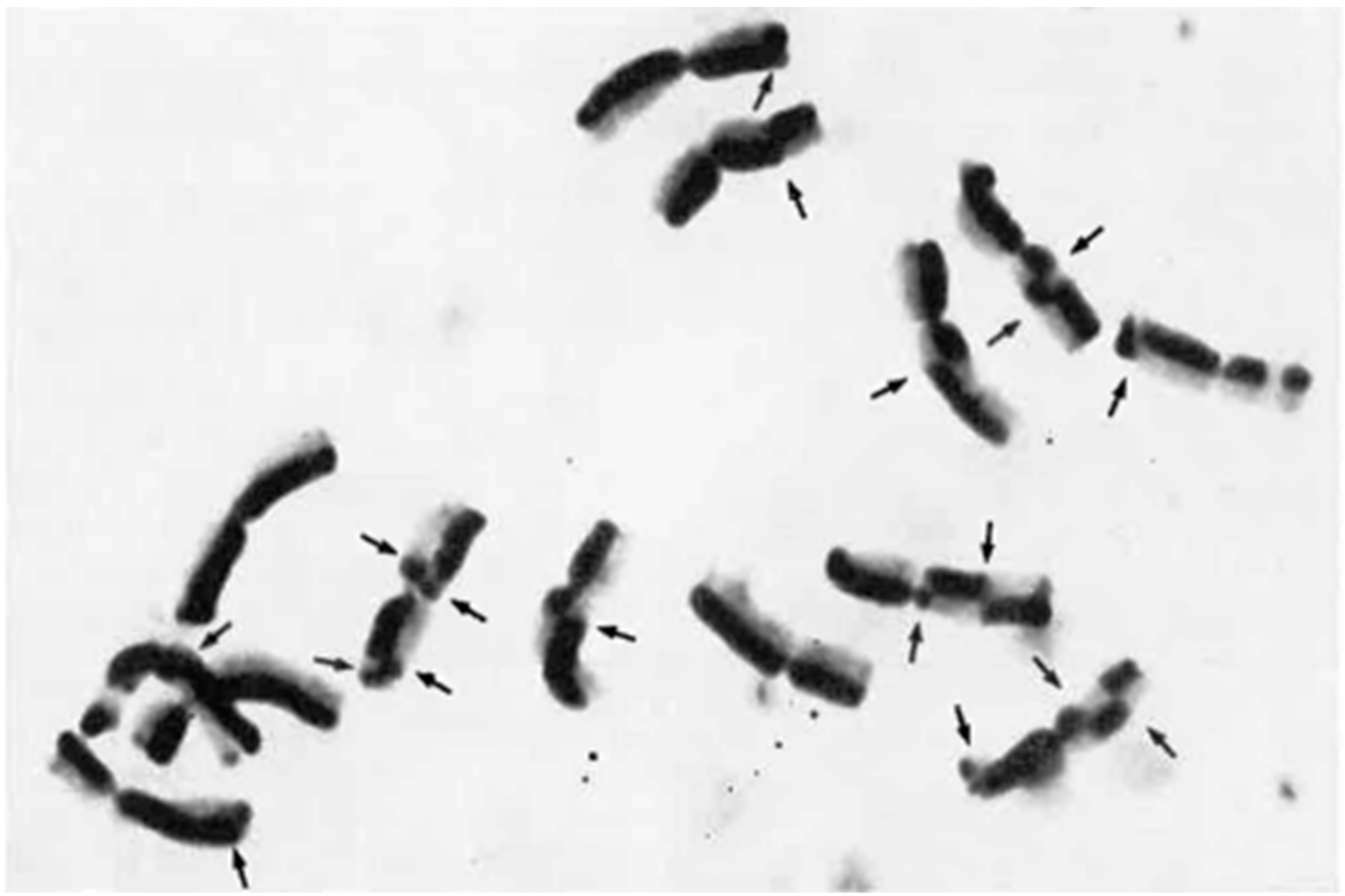 Plants 11 01753 g016