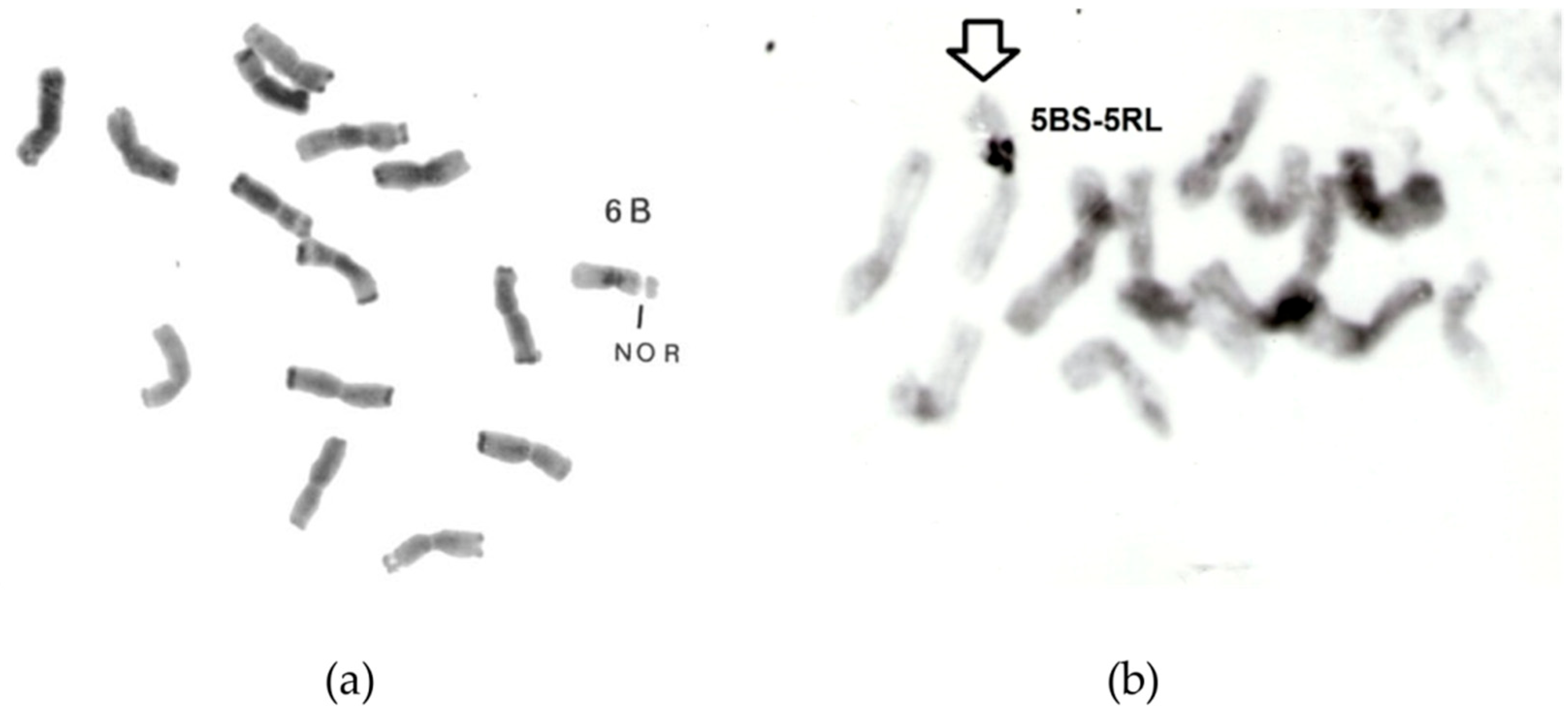 Plants 11 01753 g018