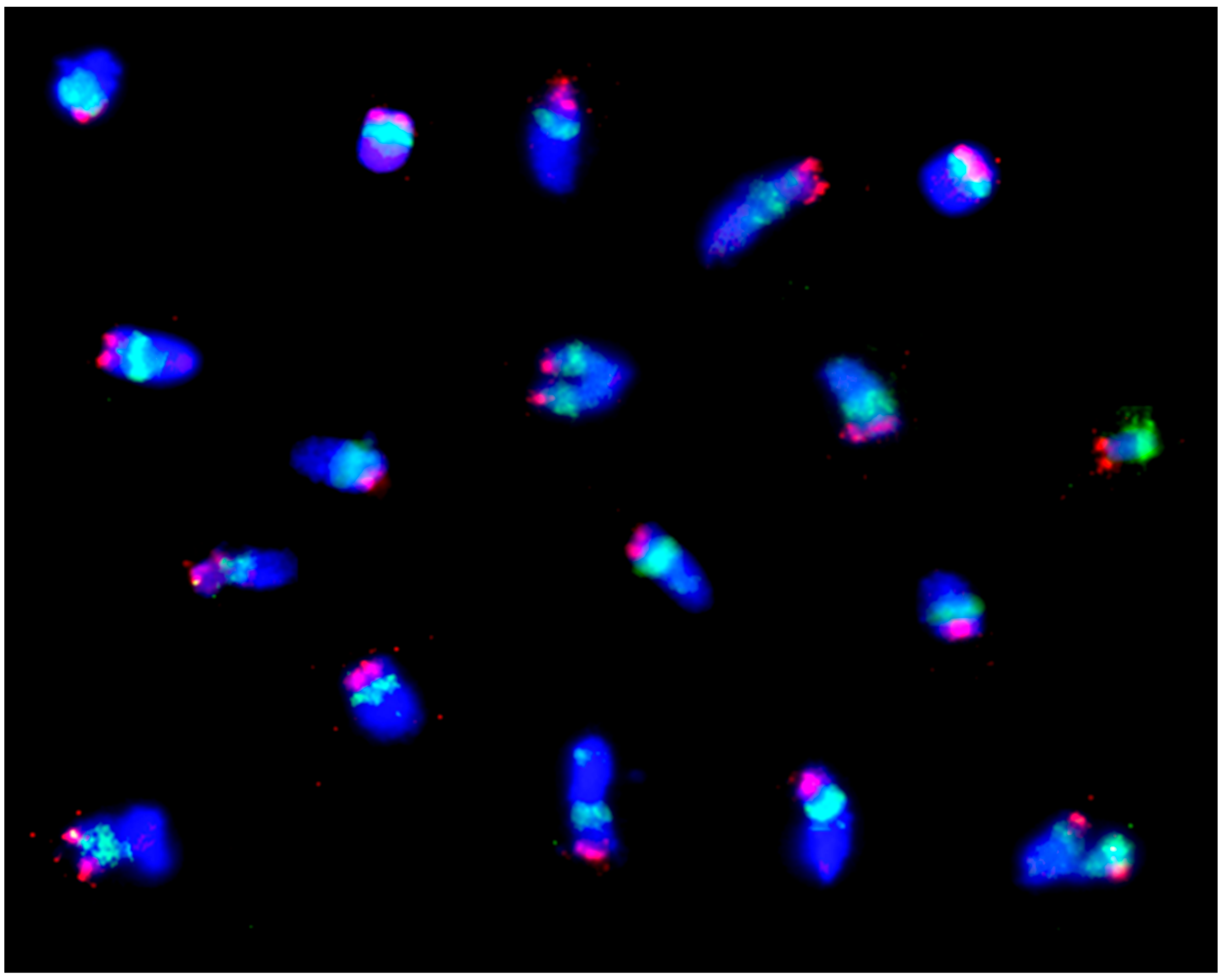 Plants 11 01753 g022