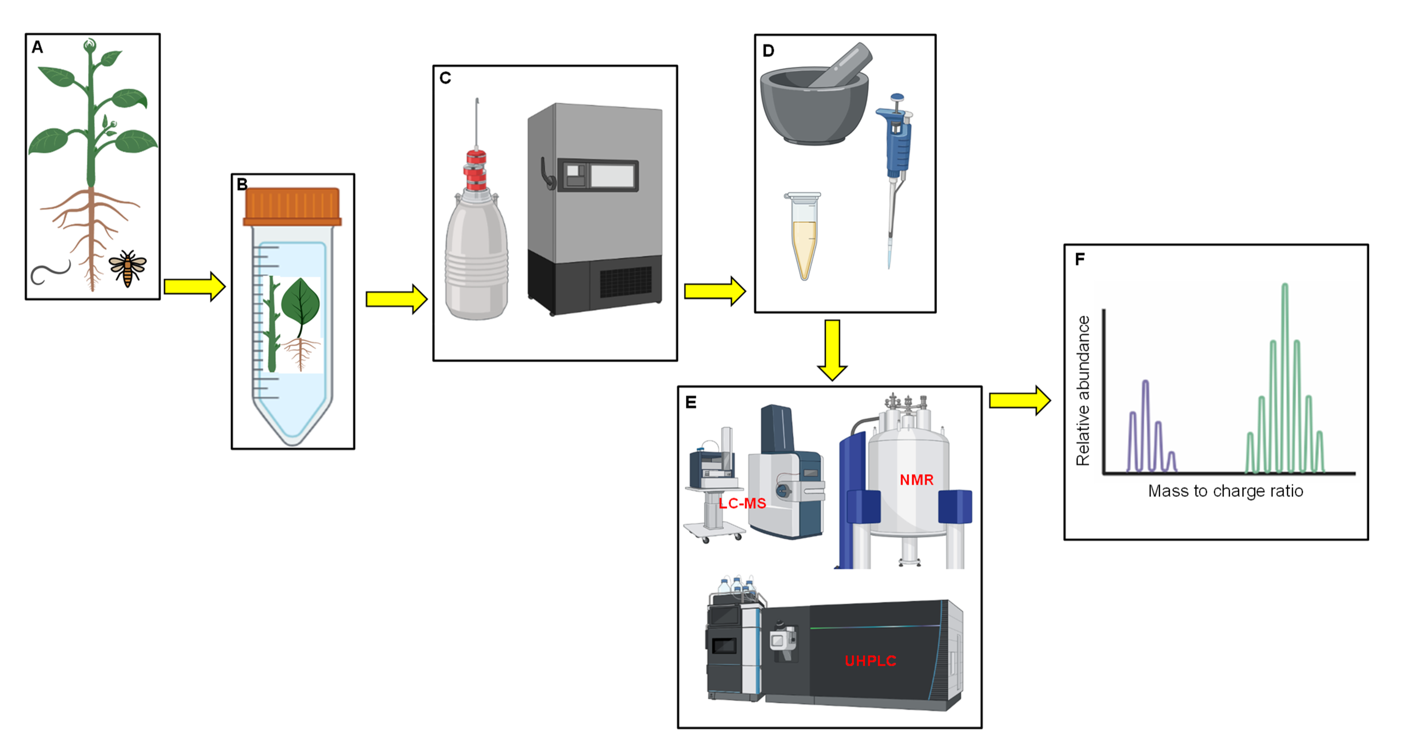 Plants 11 01756 g001 550