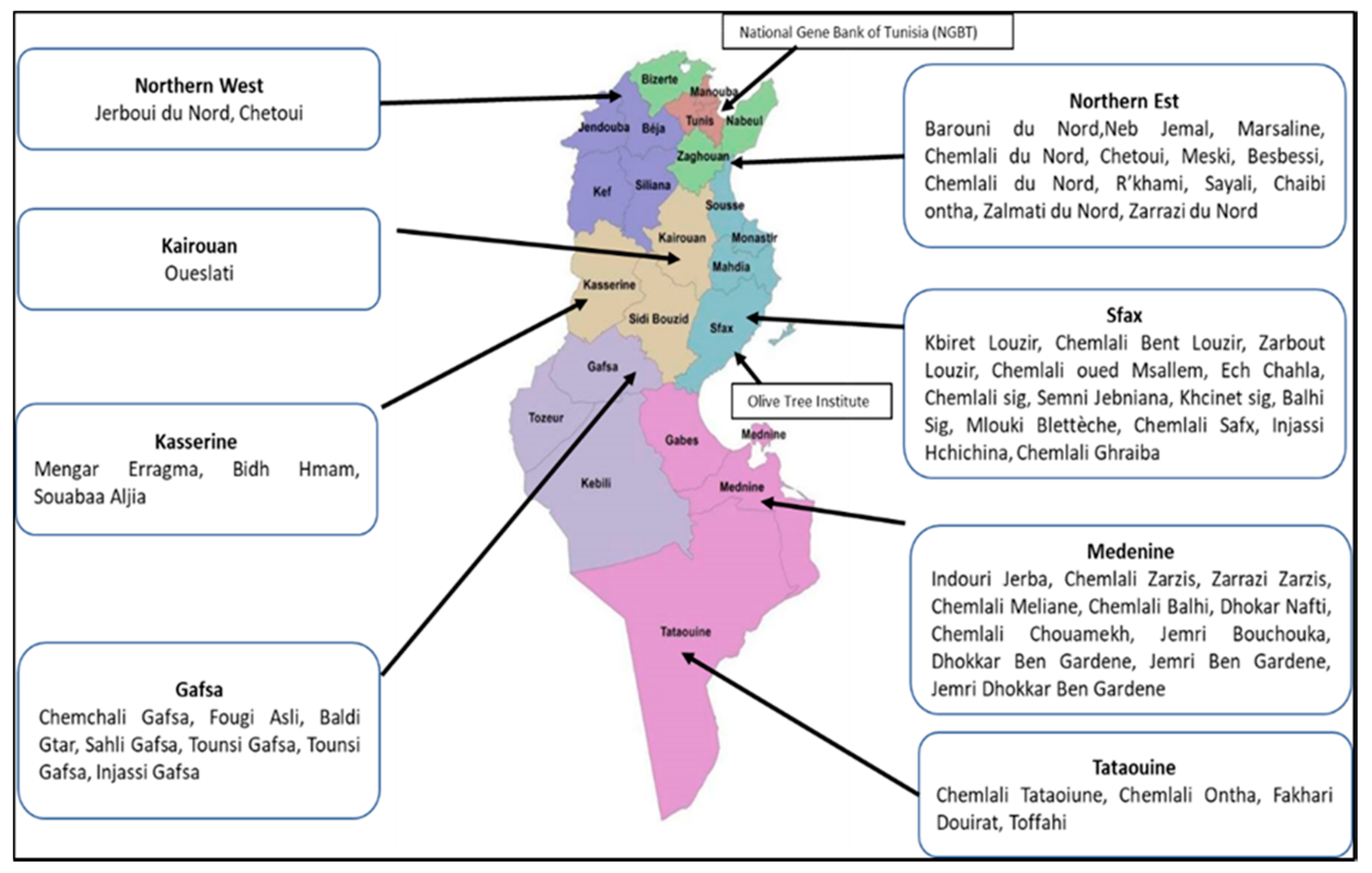 Plants 11 01759 g002 550