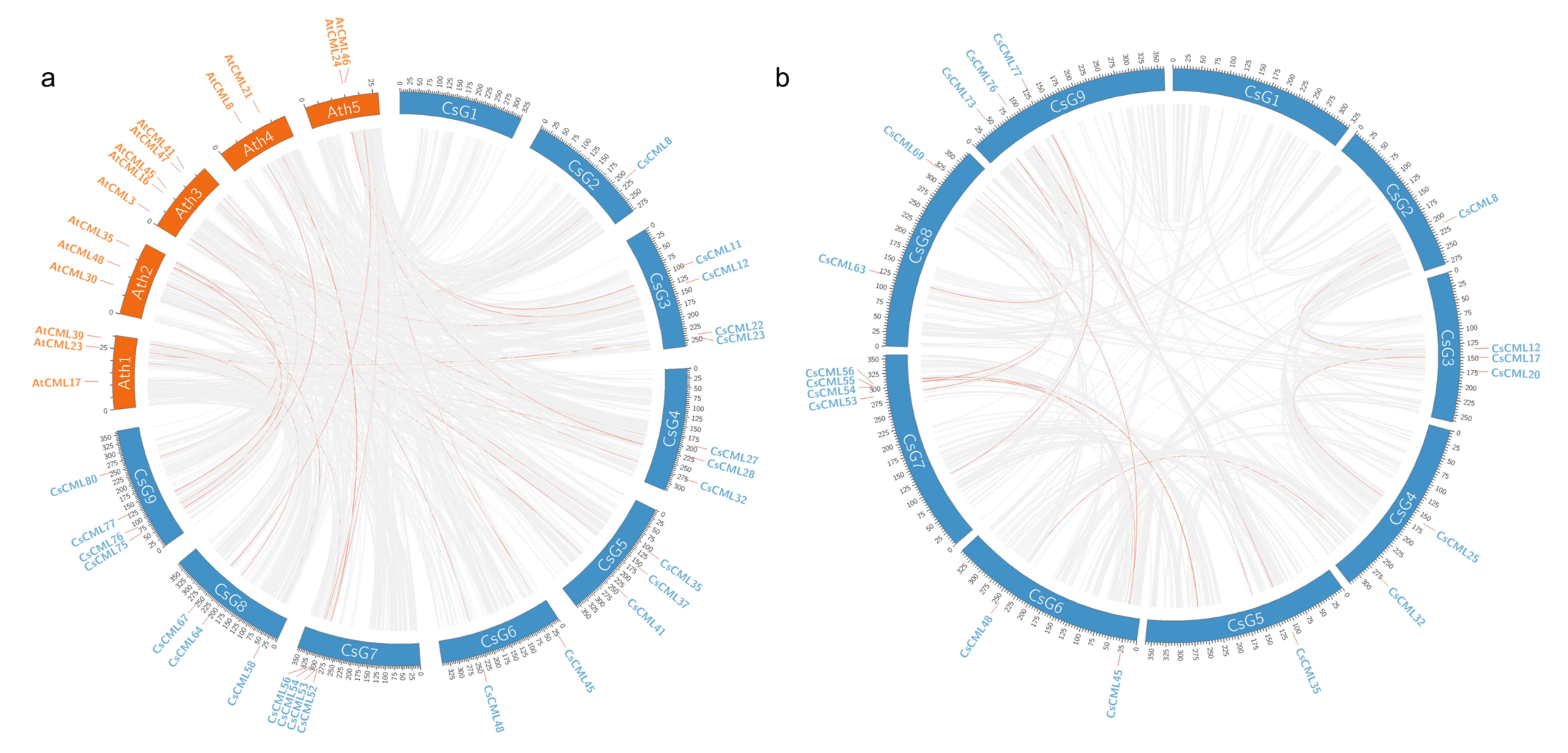 Plants 11 01760 g004 Plants 11 01760 g004