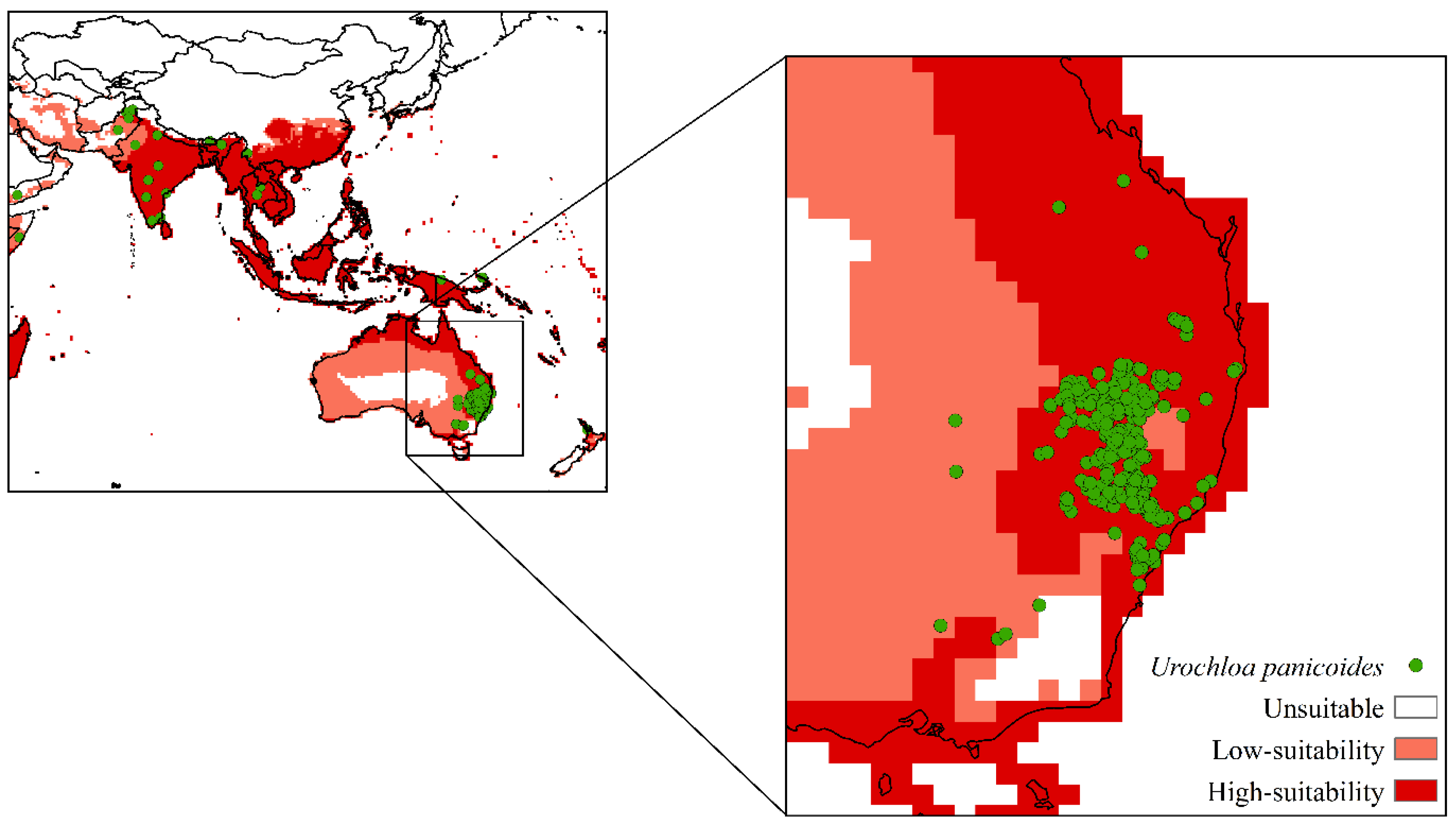 Plants 11 01761 g003 Plants 11 01761 g003