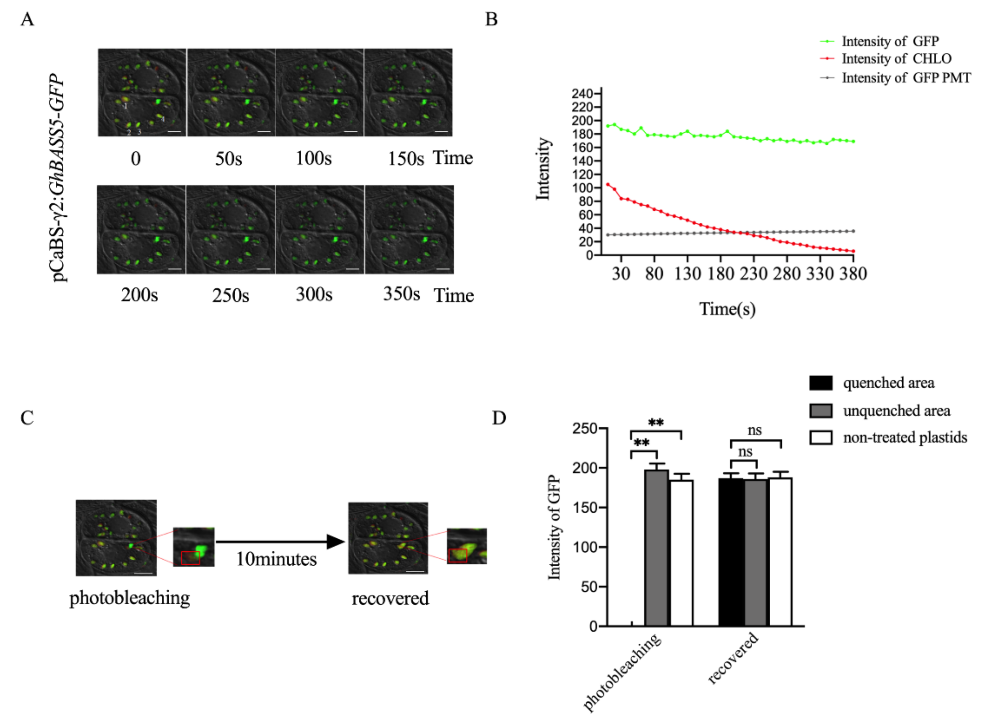 Plants 11 01765 g003 550