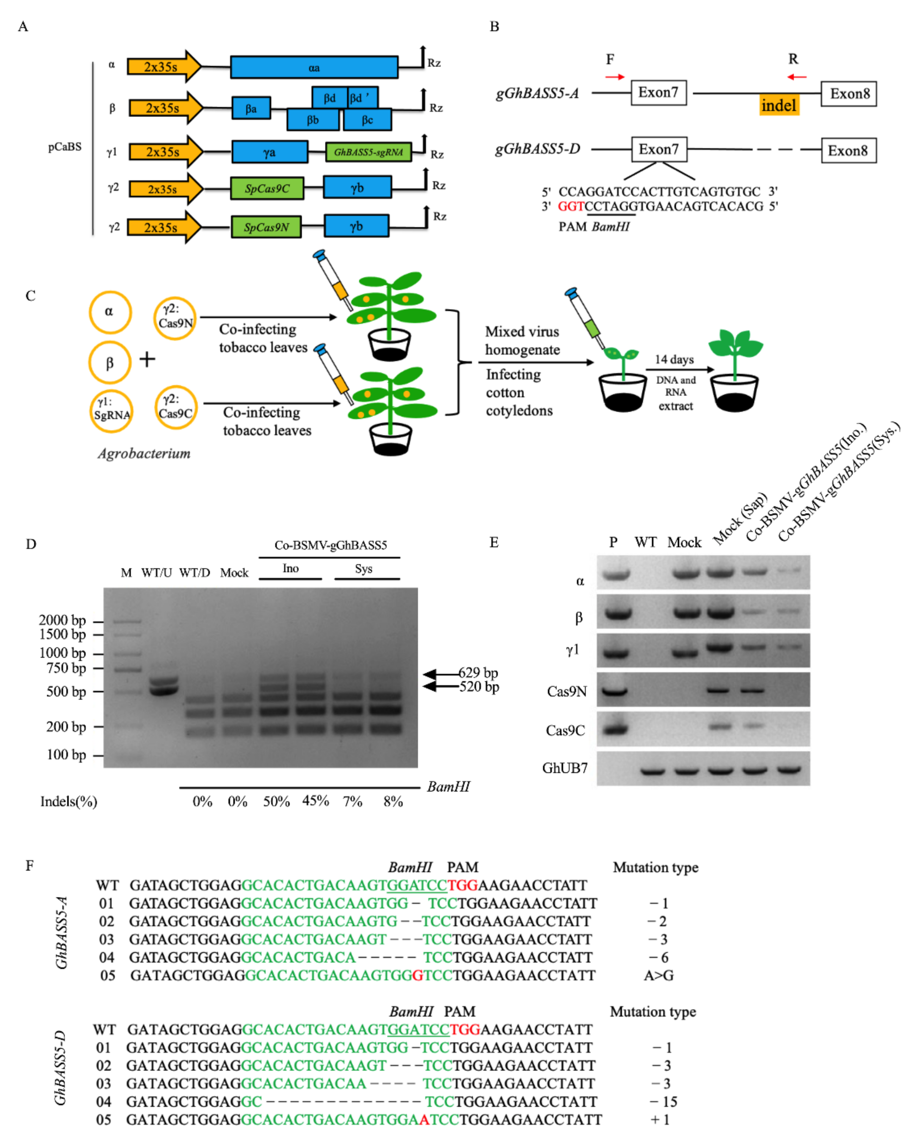 Plants 11 01765 g006 550