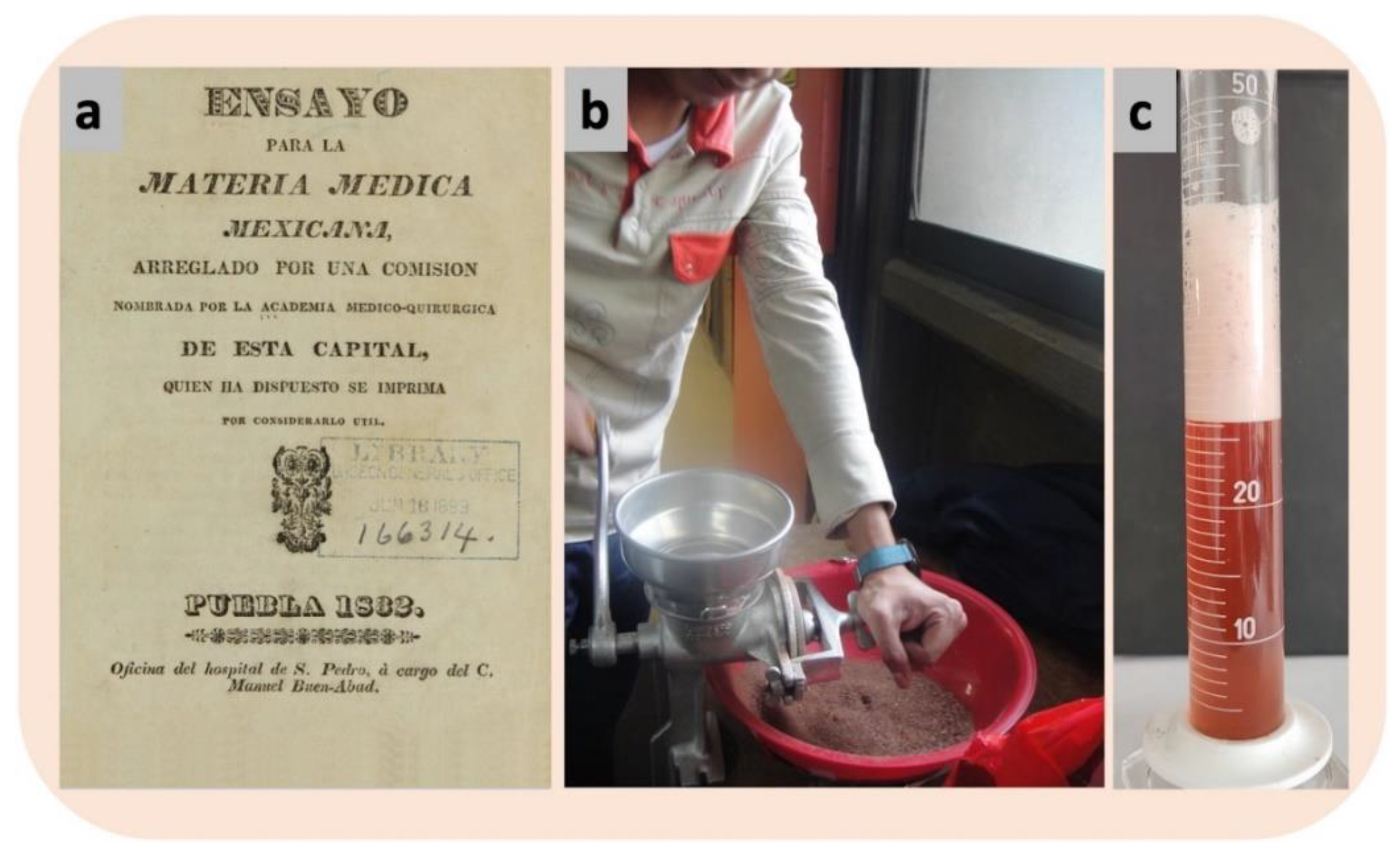 Plants 11 01766 g005 Plants 11 01766 g005