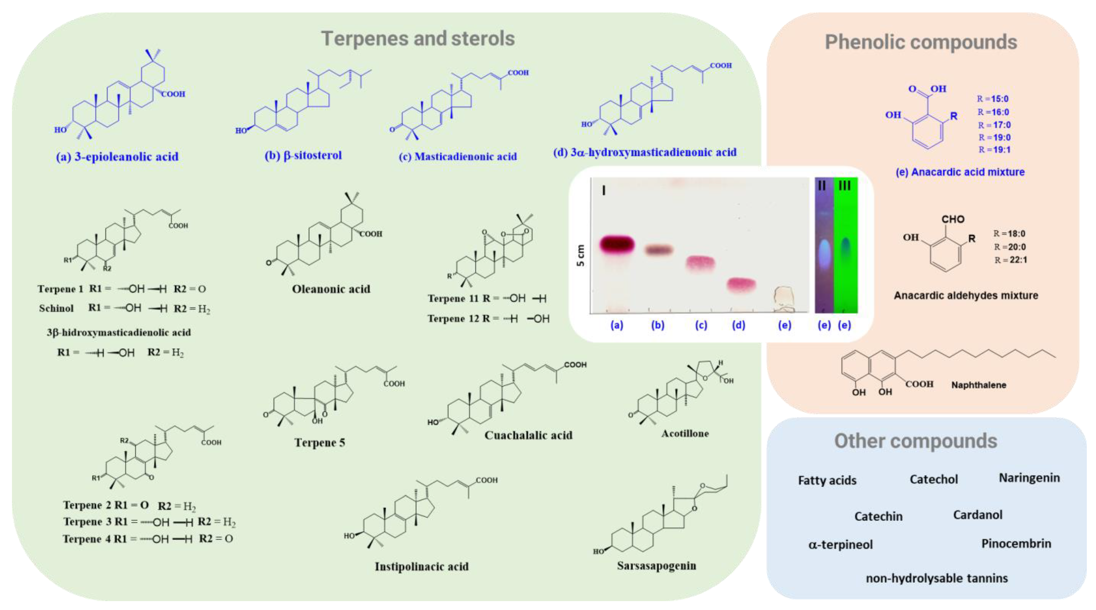 Plants 11 01766 g006 Plants 11 01766 g006