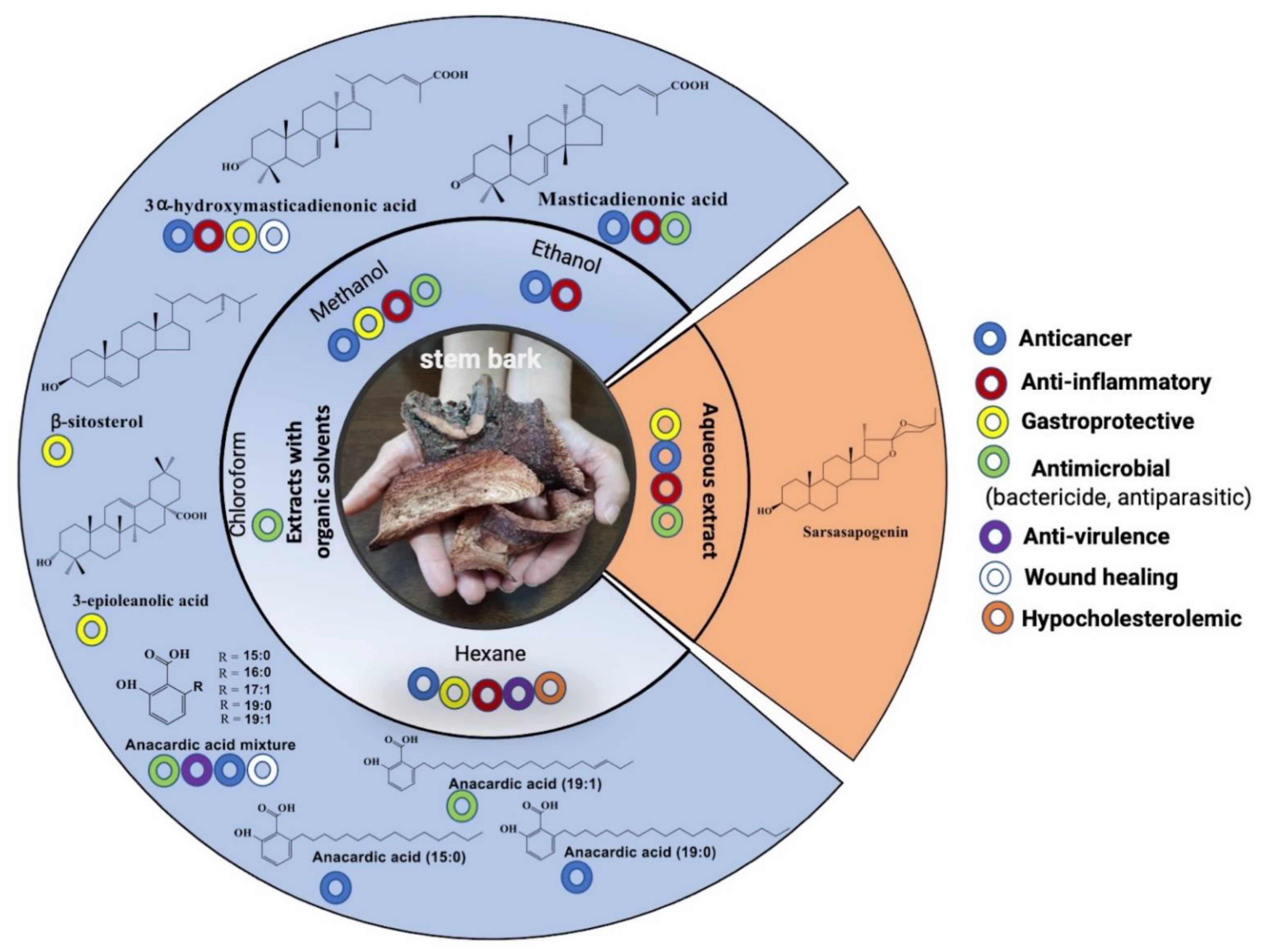 Plants 11 01766 g007 Plants 11 01766 g007