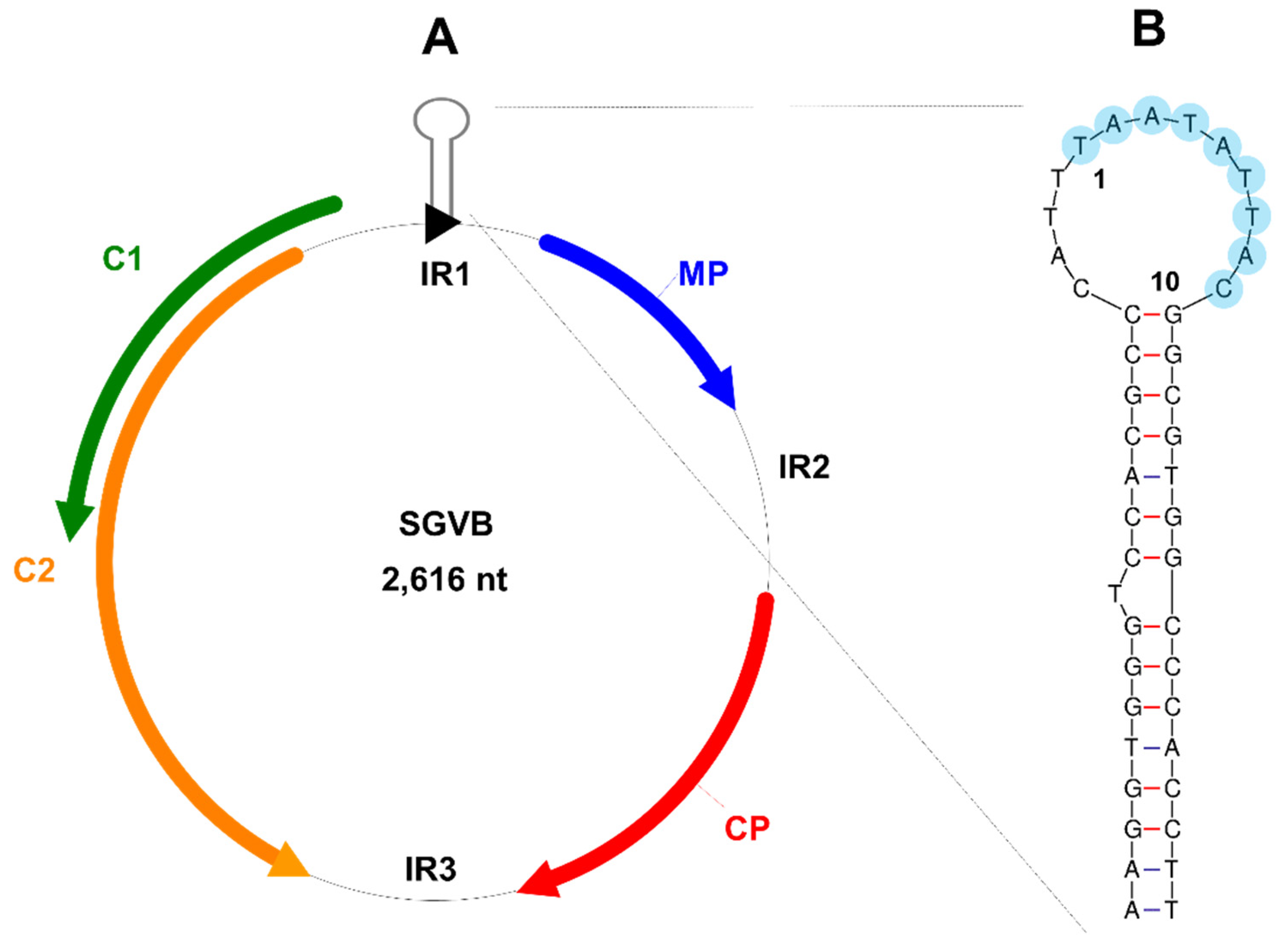Plants 11 01768 g002