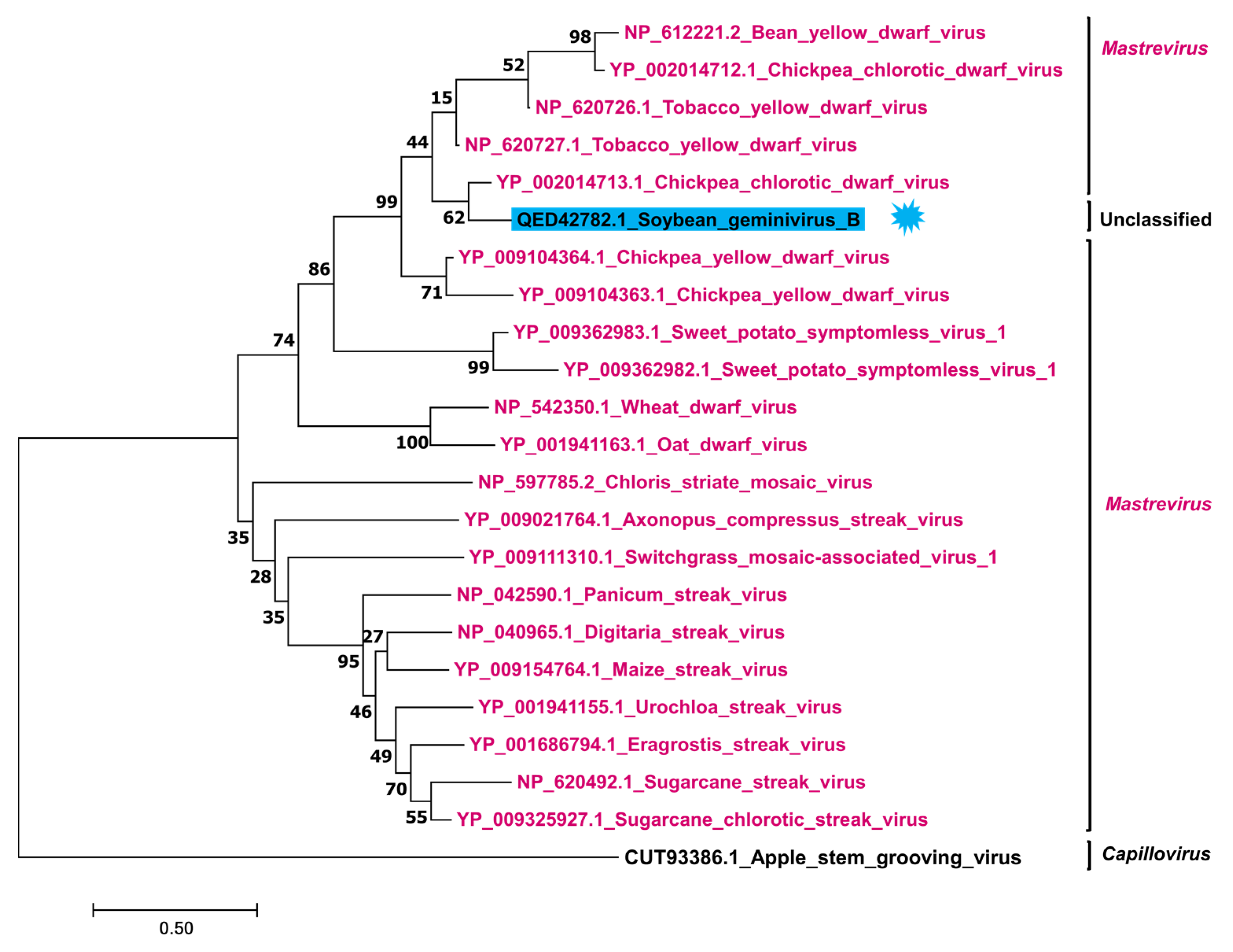 Plants 11 01768 g004
