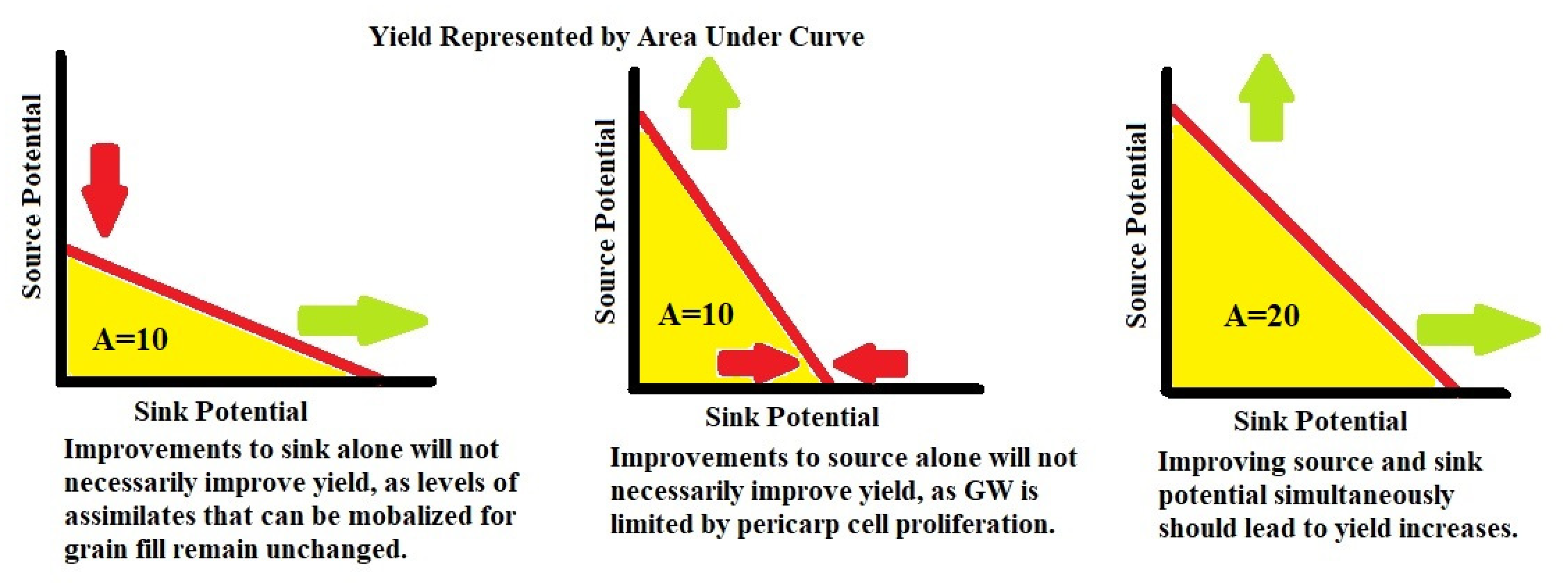 Plants 11 01772 g007 550