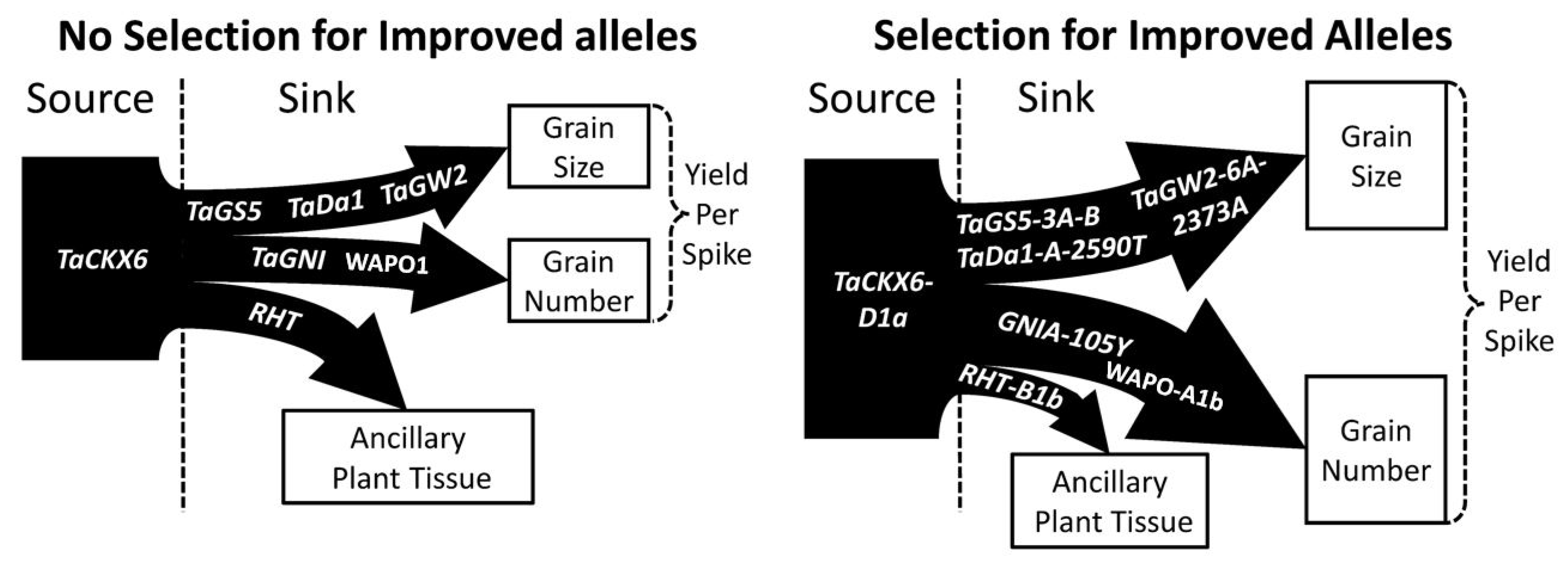 Plants 11 01772 g009 550