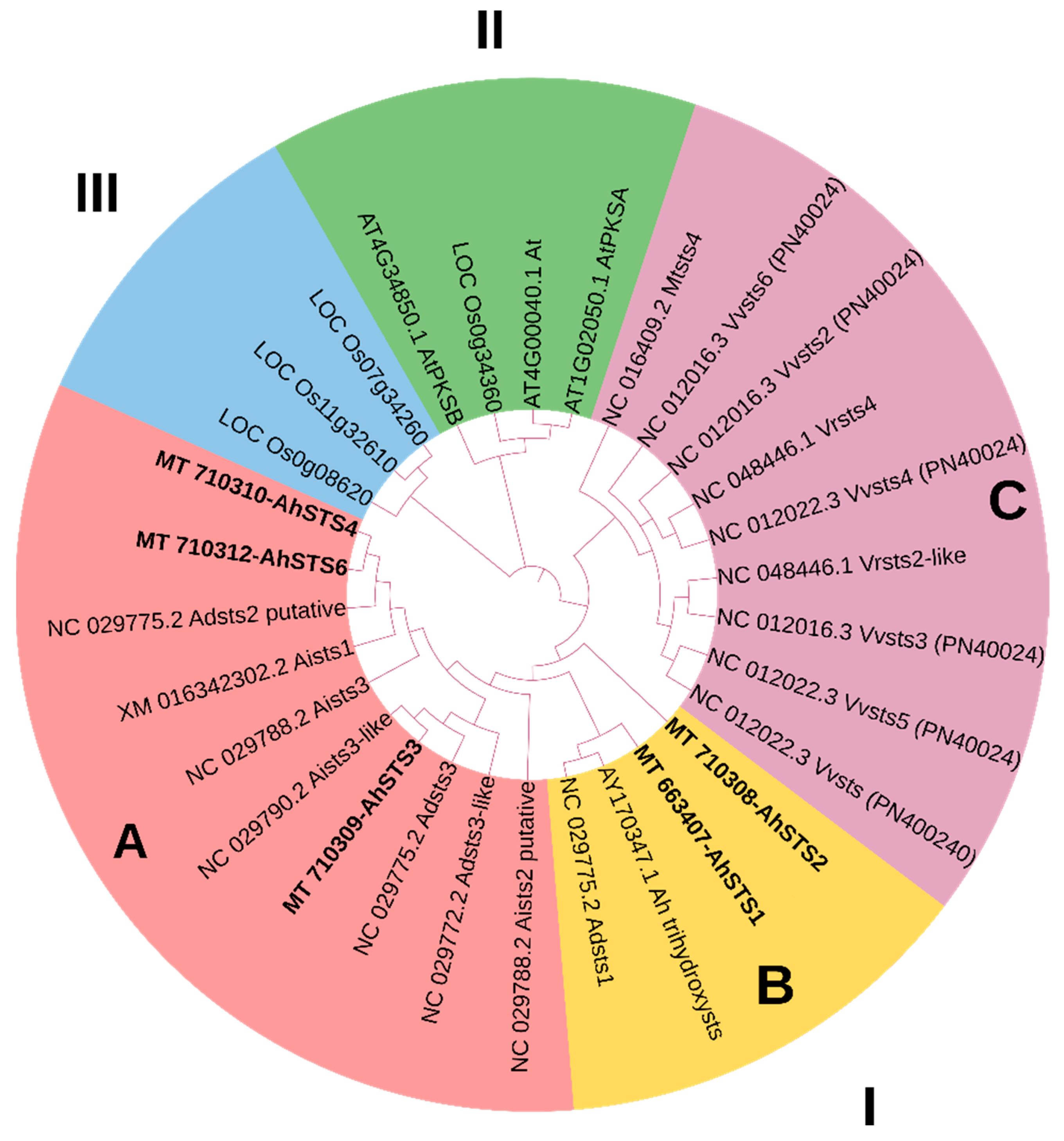 Plants 11 01776 g002