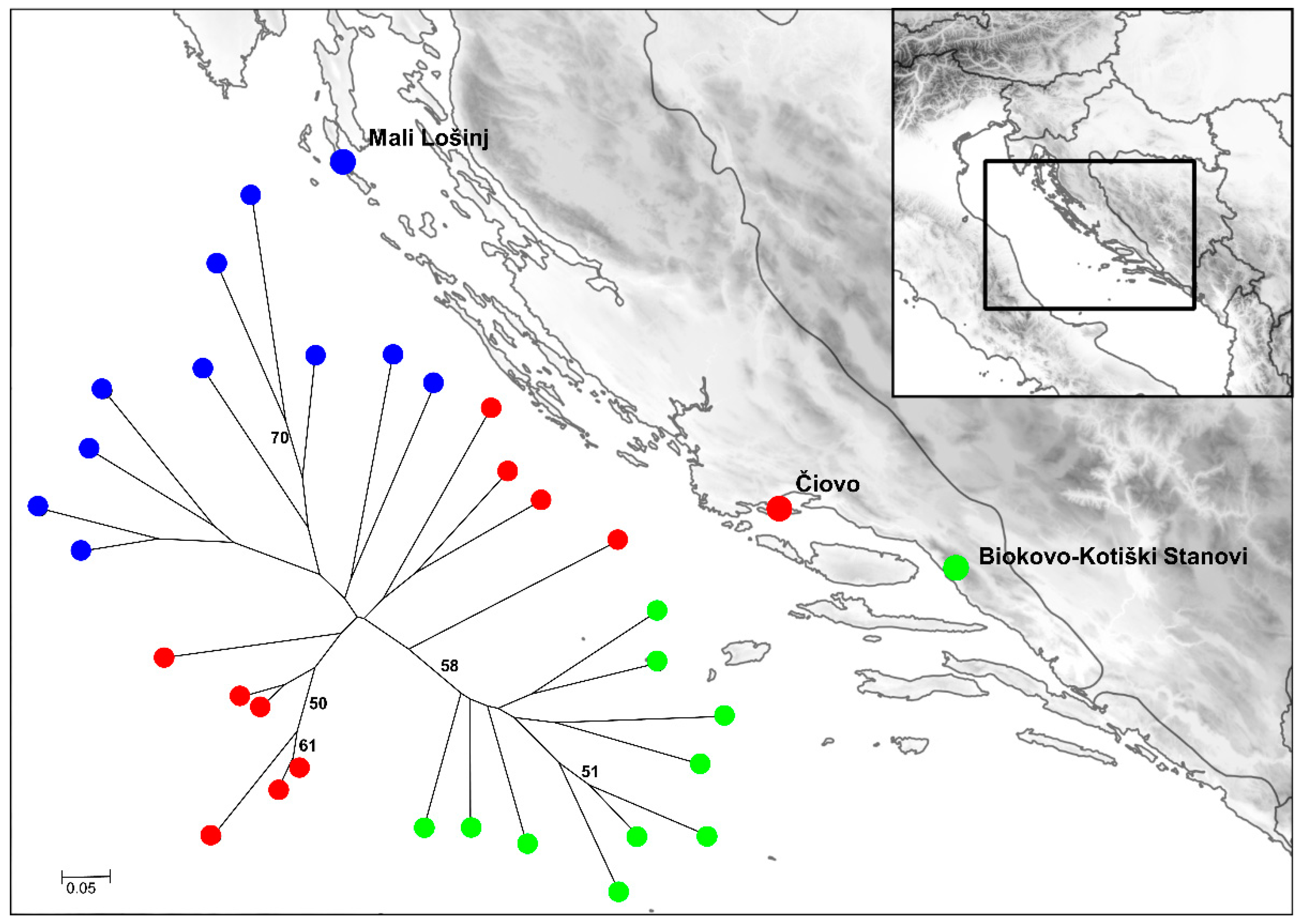 Plants 11 01778 g002