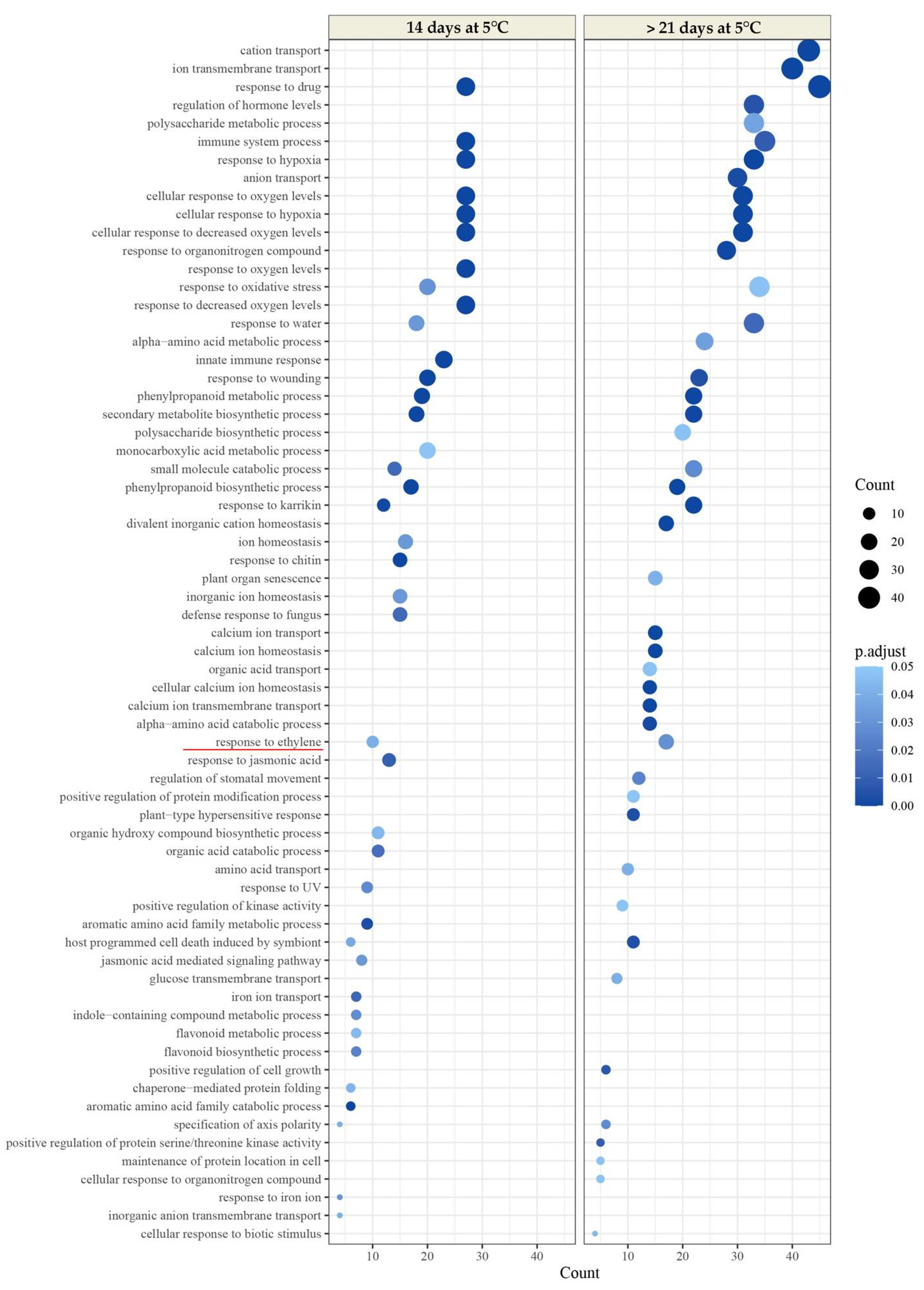 Plants 11 01781 g004