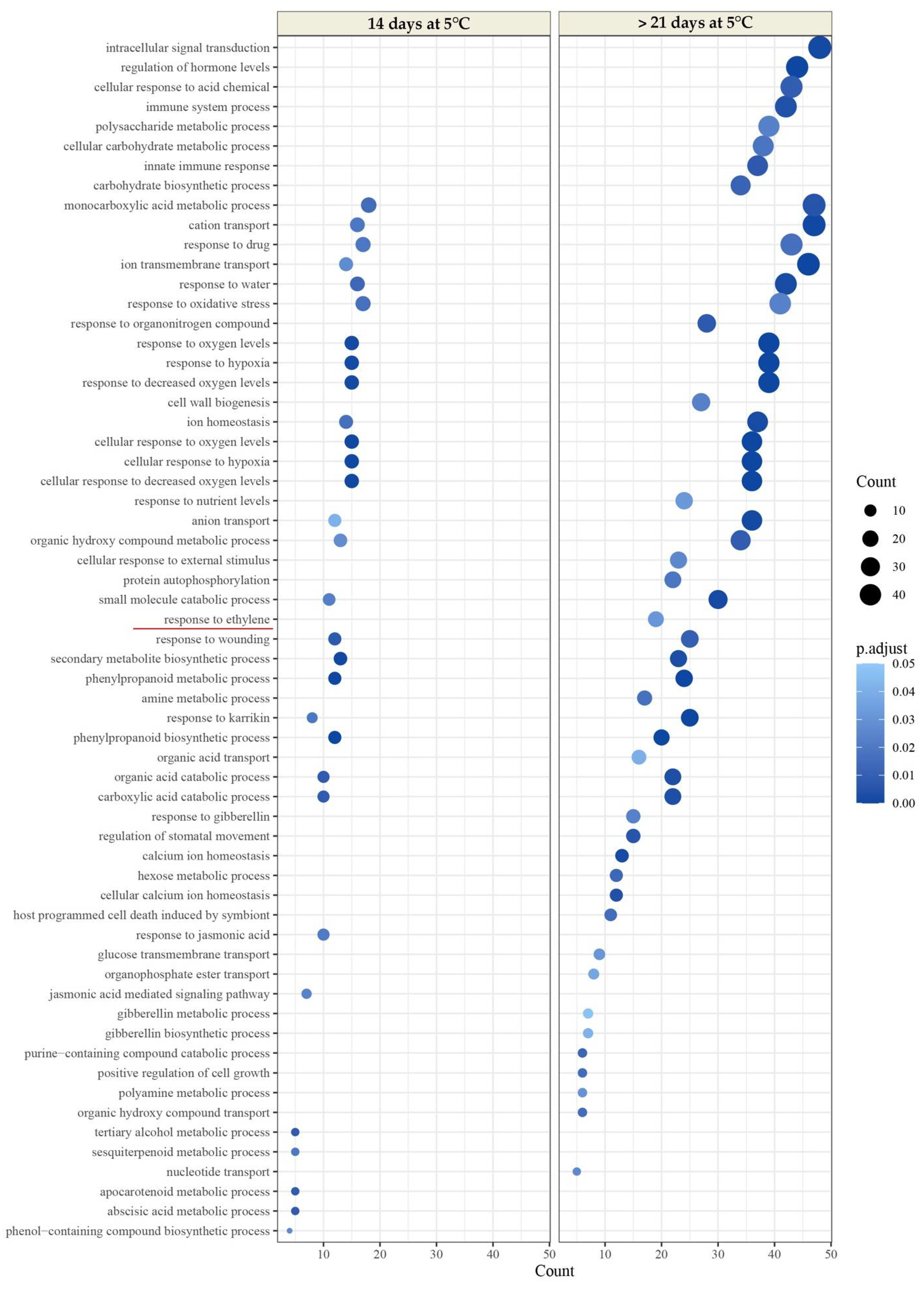 Plants 11 01781 g005